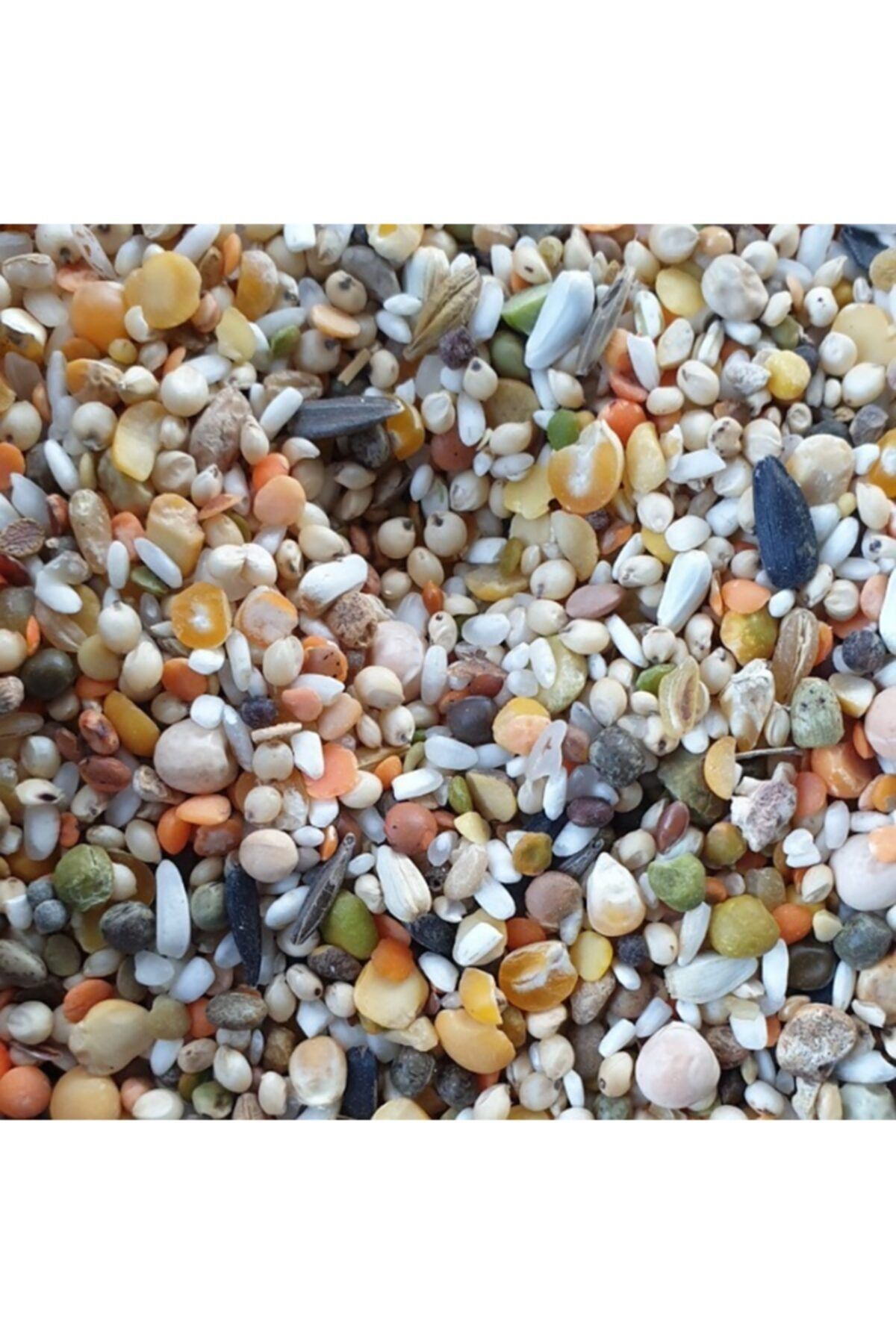 CPYEM 20 Kg Karışık Kuş Yemi Yeşil Mercimekli Özel Karışım Güvercin Tavuk Hindi Kaz Ördek Yemi