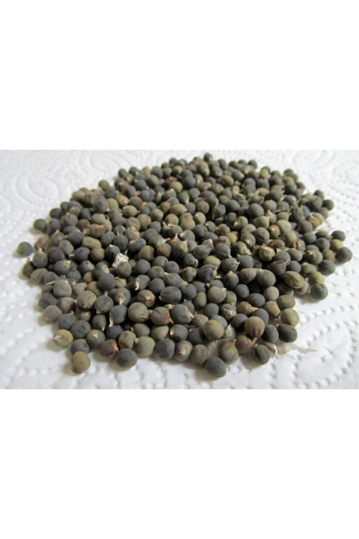 BAHARATÇIM İLKİM Bamya Tohumu 1 Kg (yalova Akköy)