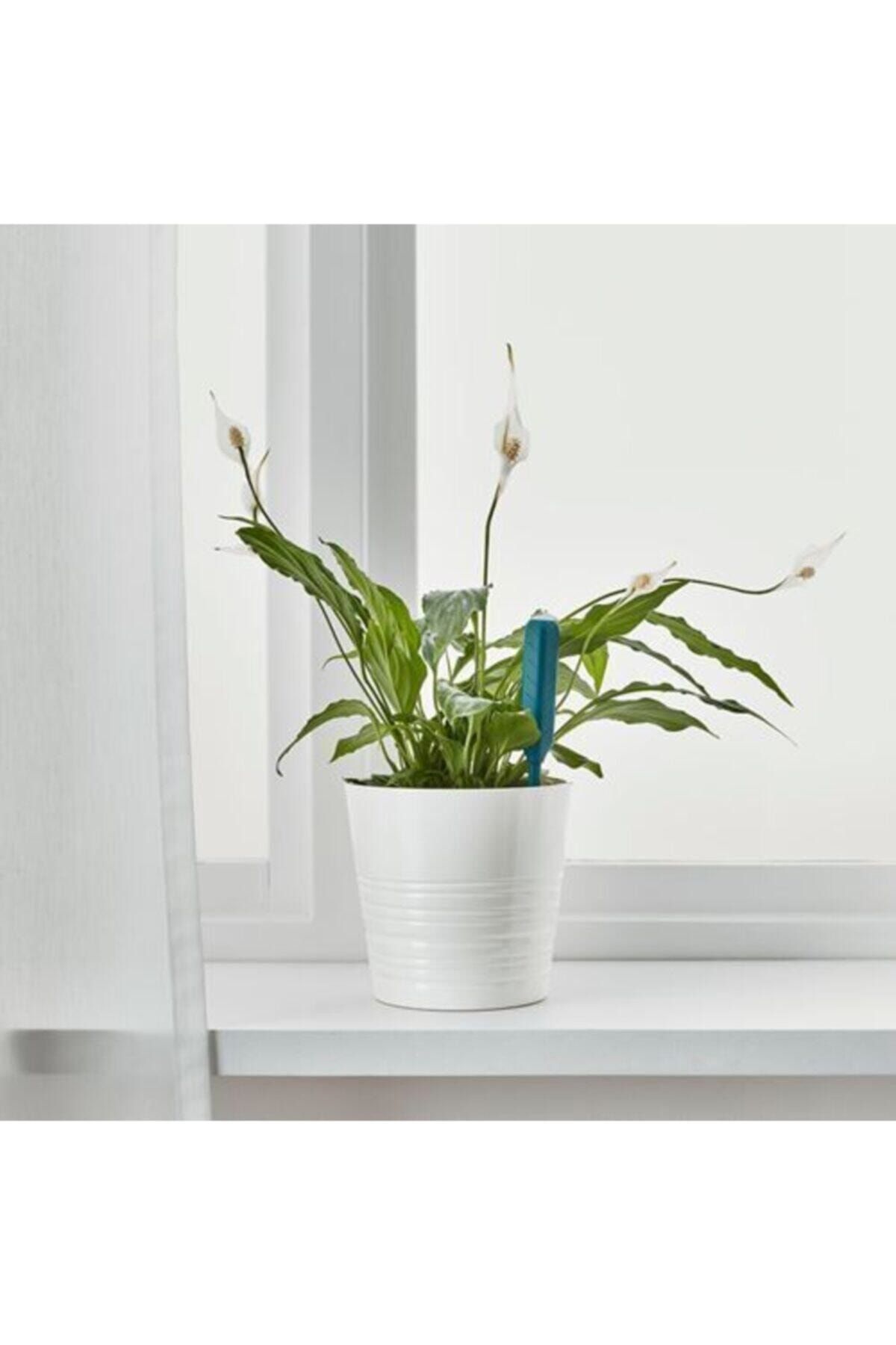 ikea chilipulver cicek sulama sensoru fiyati yorumlari trendyol