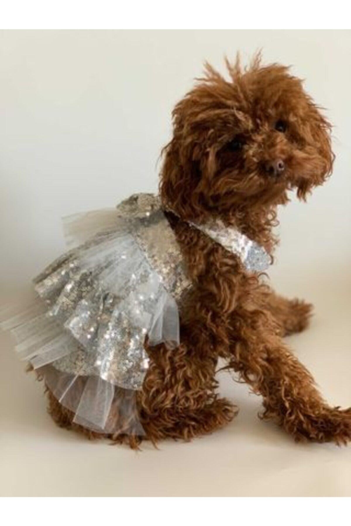 aria pet butik Köpek Elbise Pul Payetli