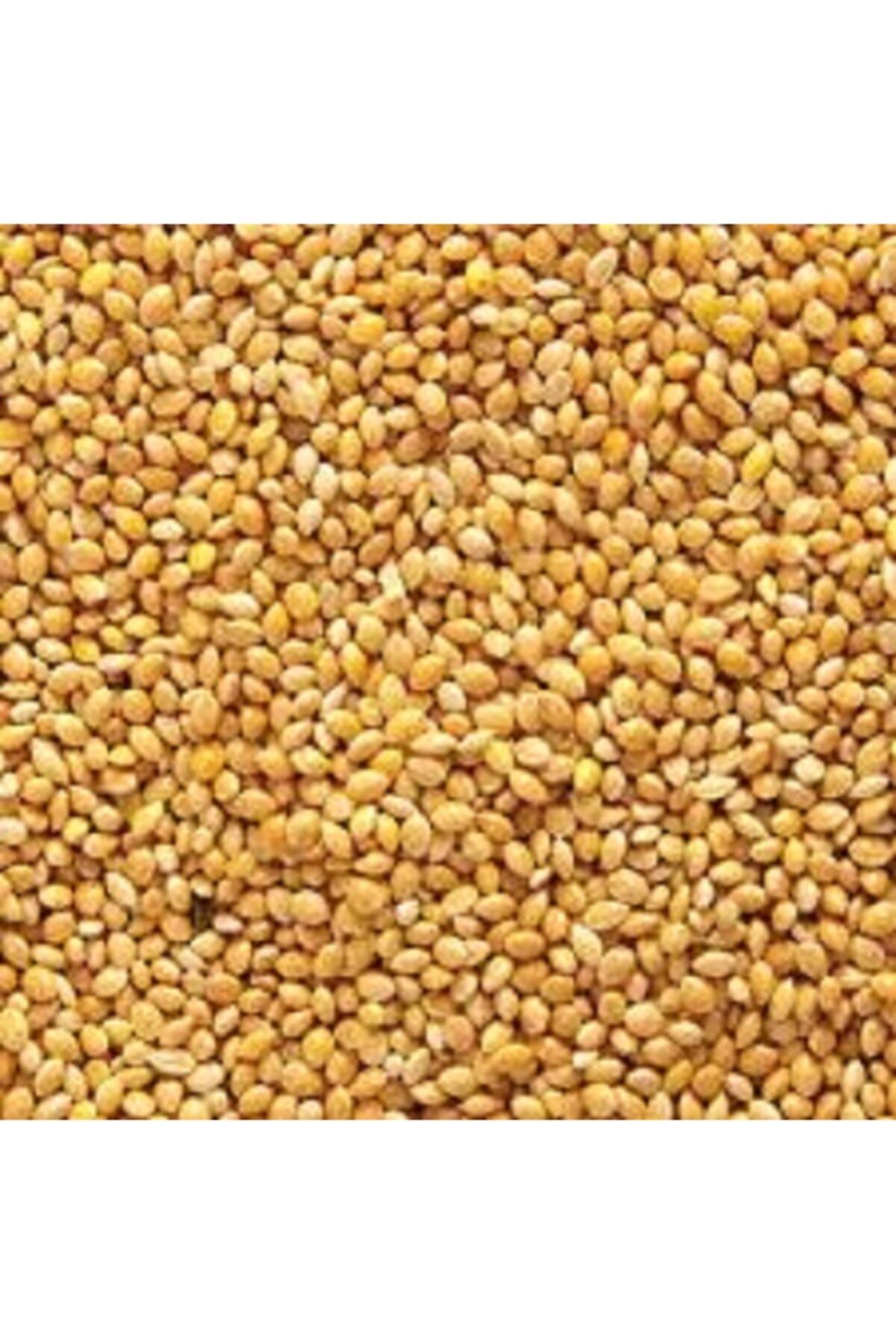 MERVEPET Sade Sarı Darı 1 Kg