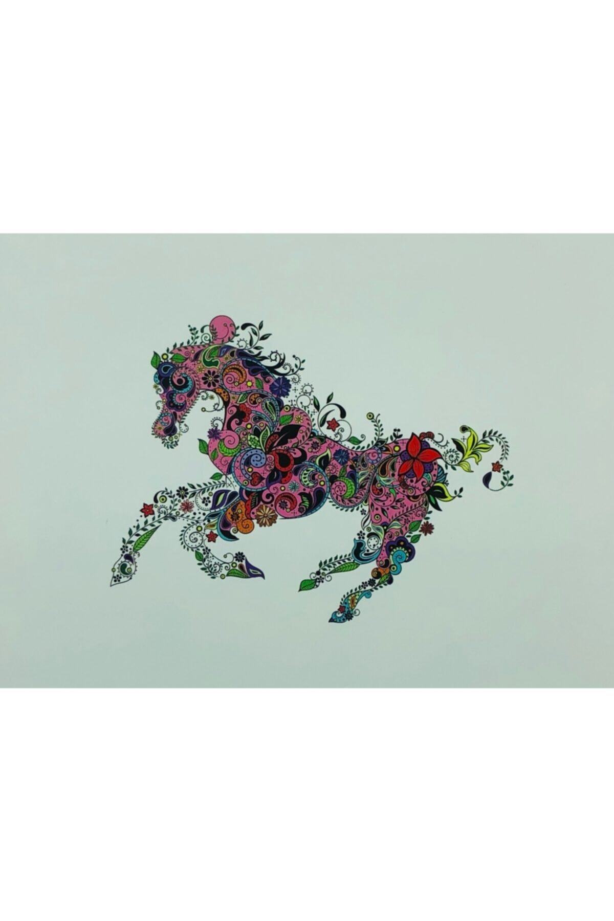 OzanTuhafiye Yastık Kılıfı Kırlent Kılıfı Kumaş Boyama Seti 45x45 Cm 11