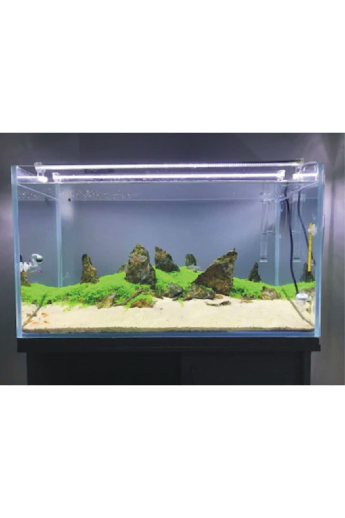 linhart Akvaryum Led Aydınlatma 6500k Beyaz 100cm
