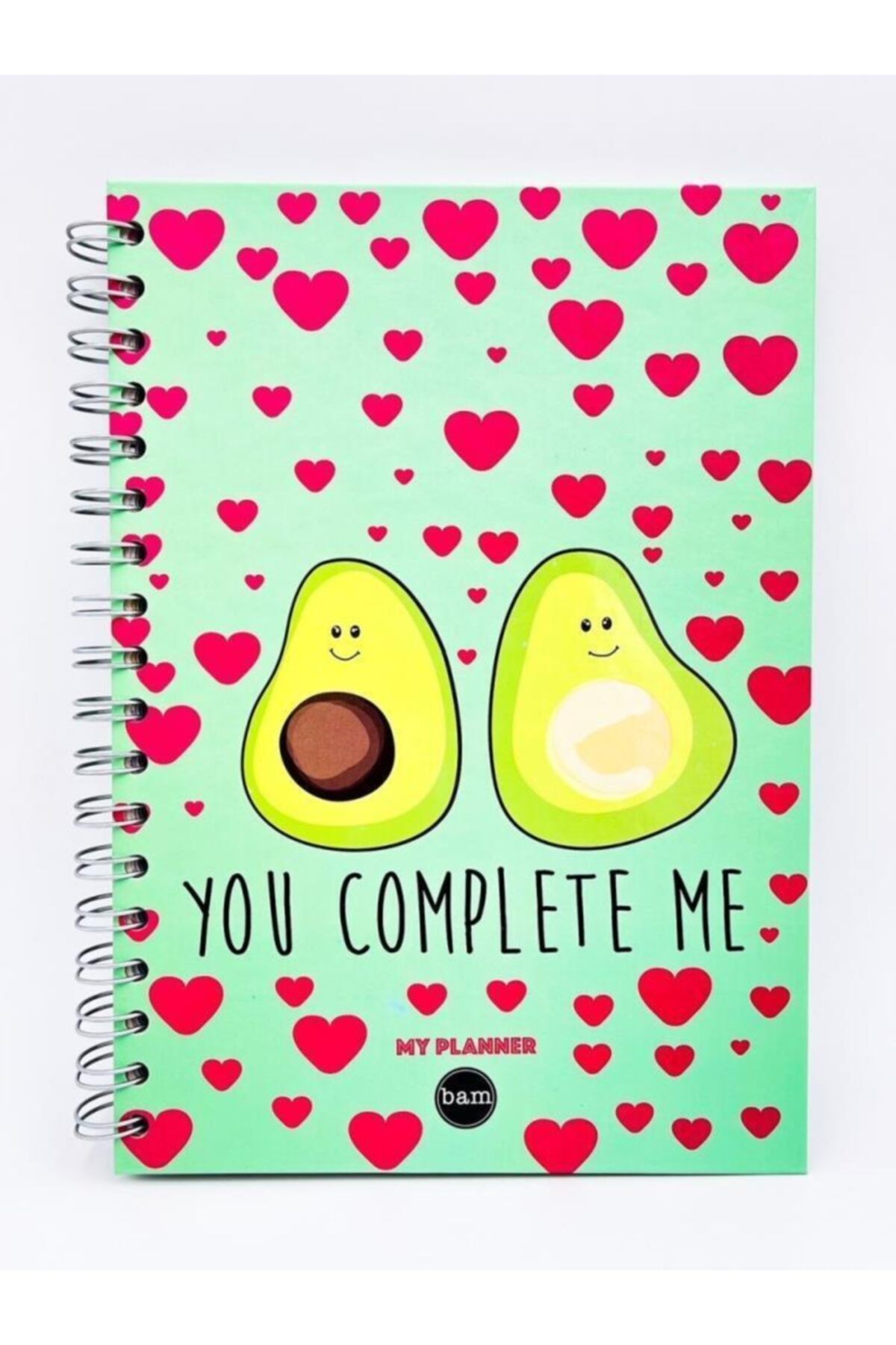 EFBUTİK Telli Planlayıcı Defter Ajanda - Avokado