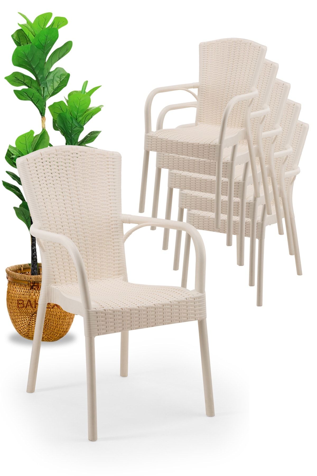 Tilia Krem Rattan Desenli  Royal Koltuk 6 Adet