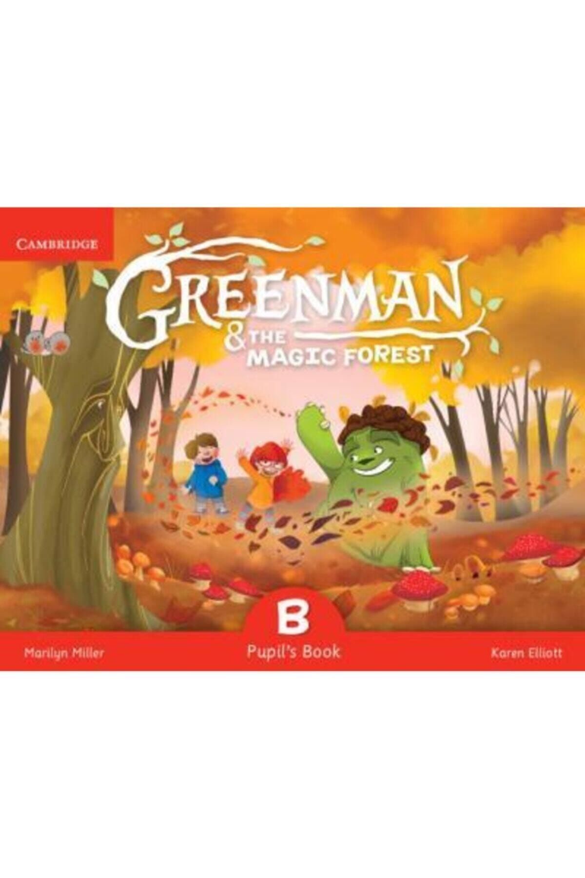 Cambridge Greenman And The Magic Forest B Pupils Book