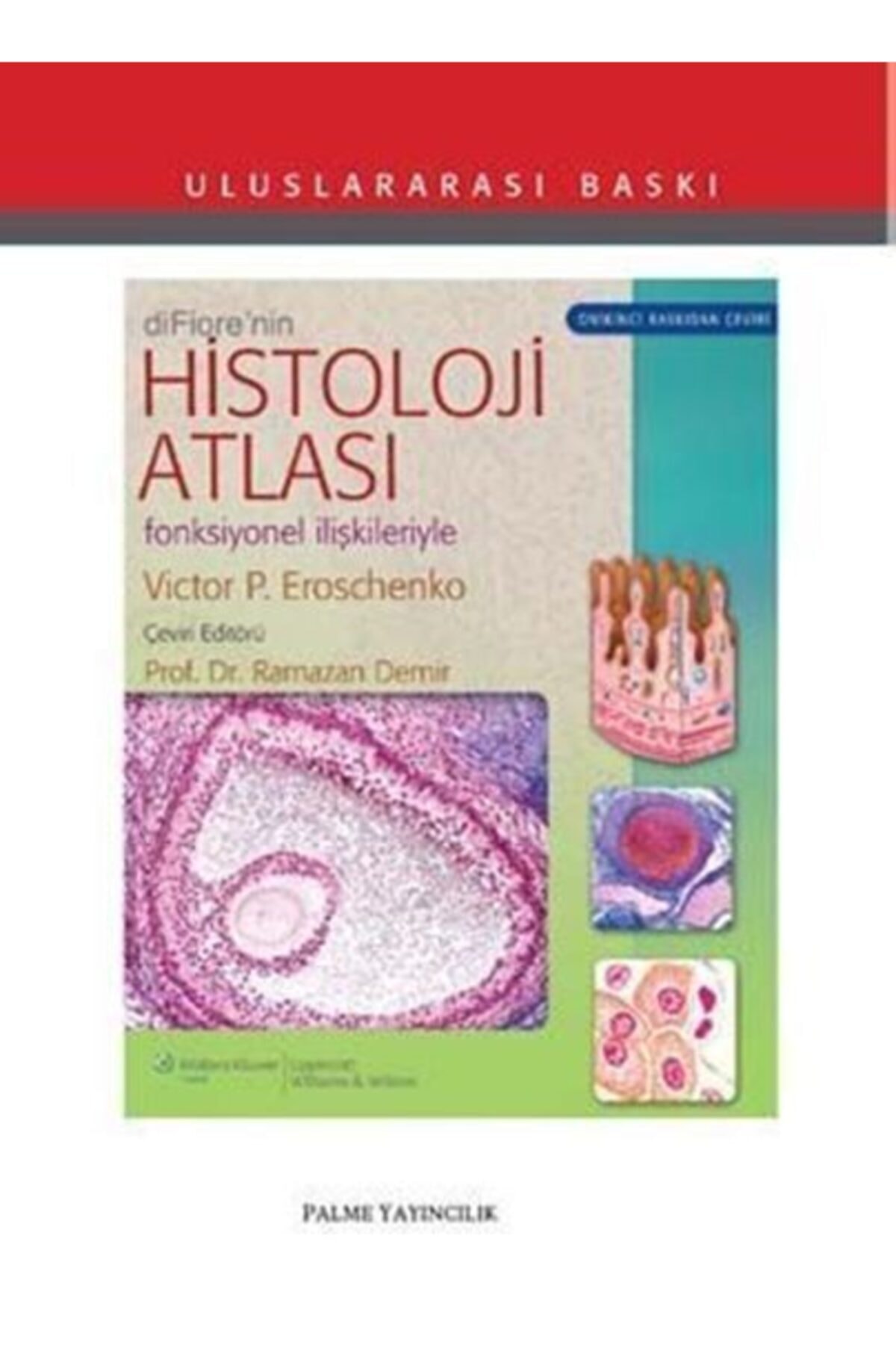 Palme Yayınevi Difiore'nin Histoloji Atlası Yeni Baskı - Palme