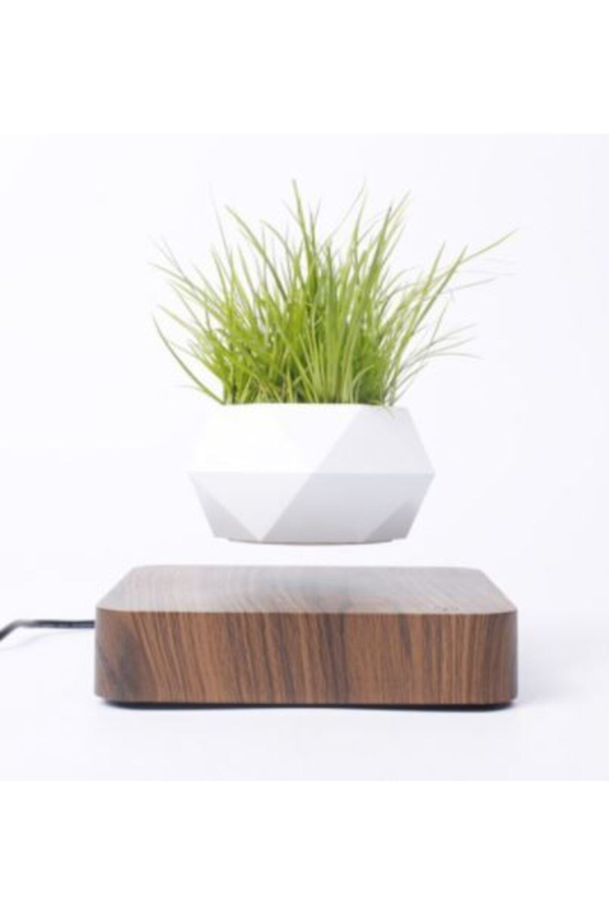 DuetHomeDecor Manyetik Uçan Saksı