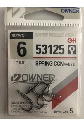 53125 Spring Ccn With Eye Black Chrome Sazan Iğnesi Iğne No:6 Image 0