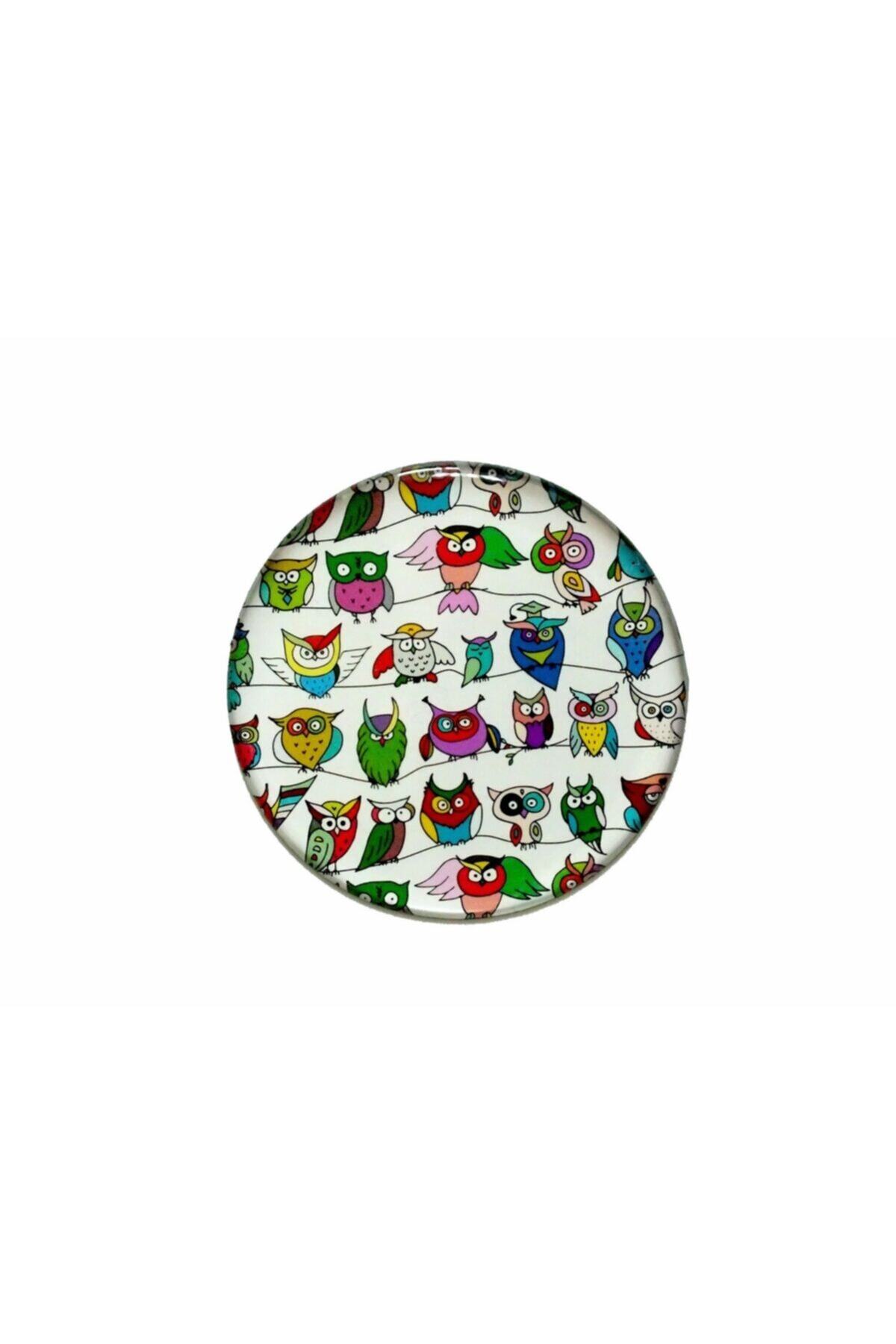 Myros Evımgt601 Baykuş Magnet