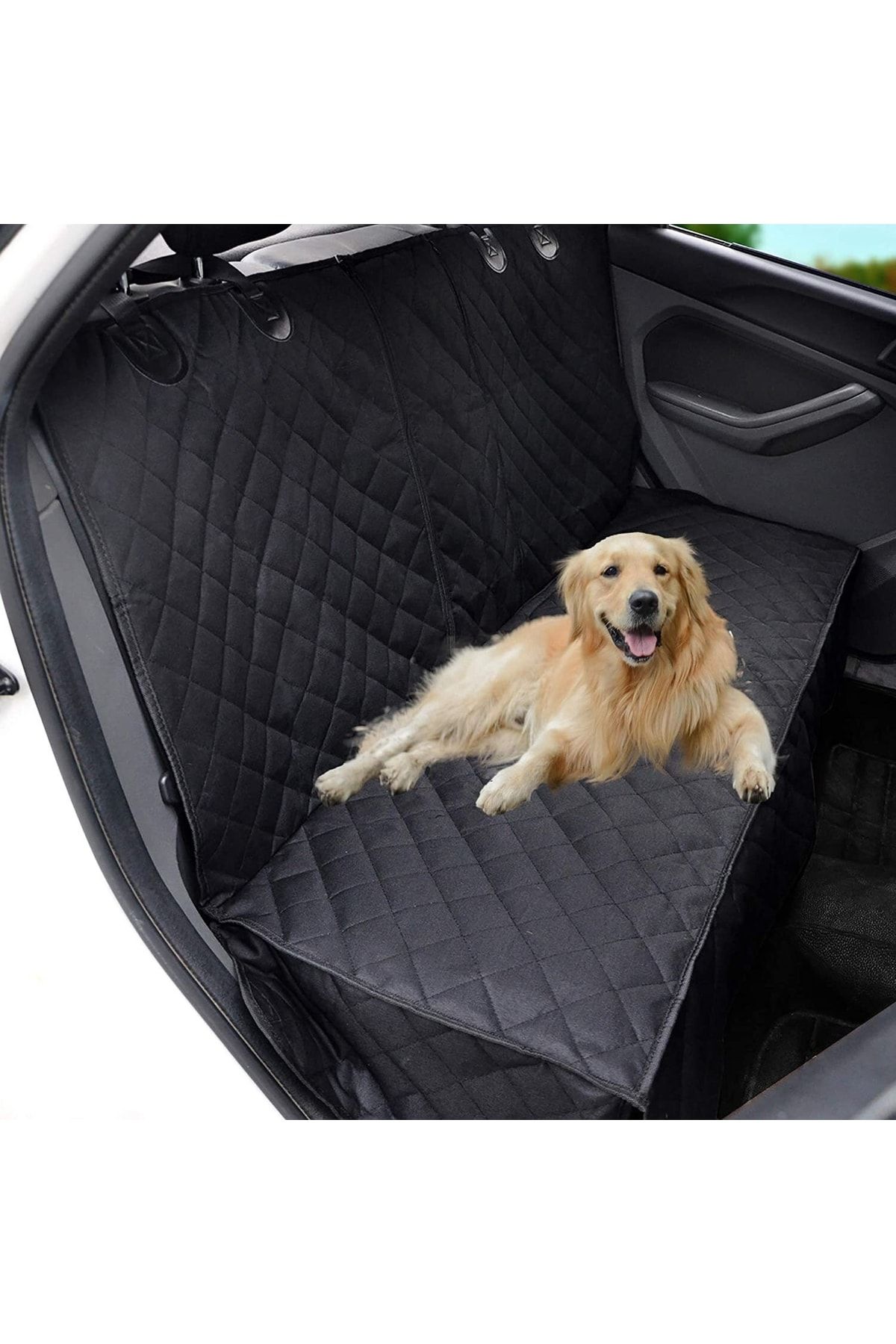 Pet 2025 seat covers