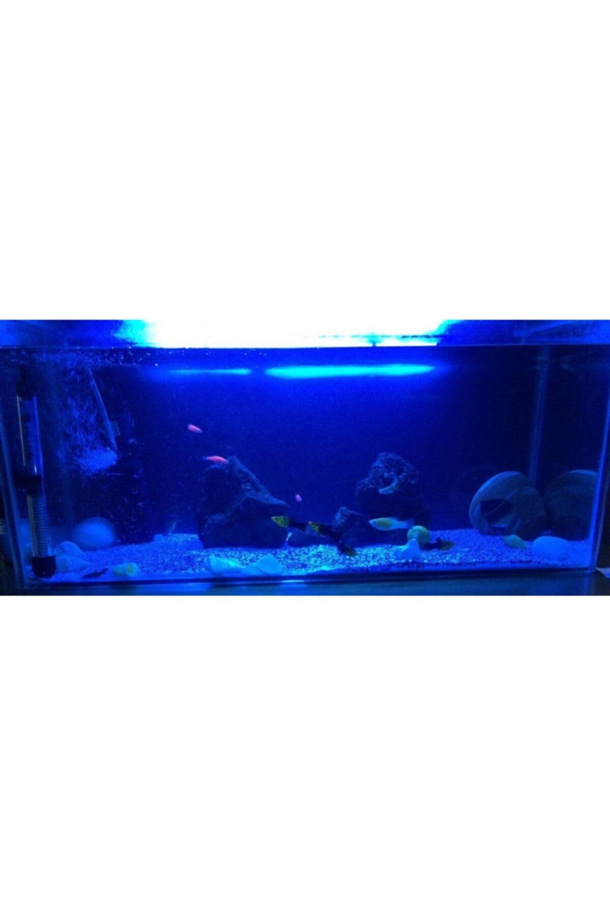 linhart Akvaryum Led Aydınlatma Royal Mavi Renk 90cm