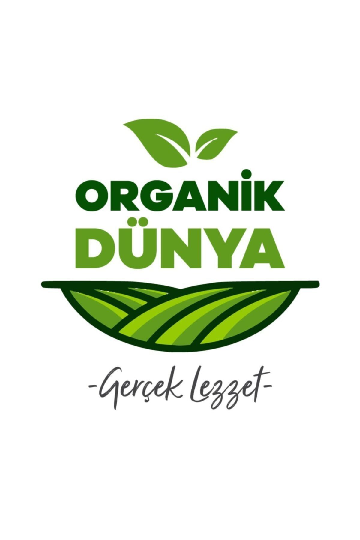 organik dunyam cekirdeksiz dogal bebek zeytini fiyati yorumlari trendyol