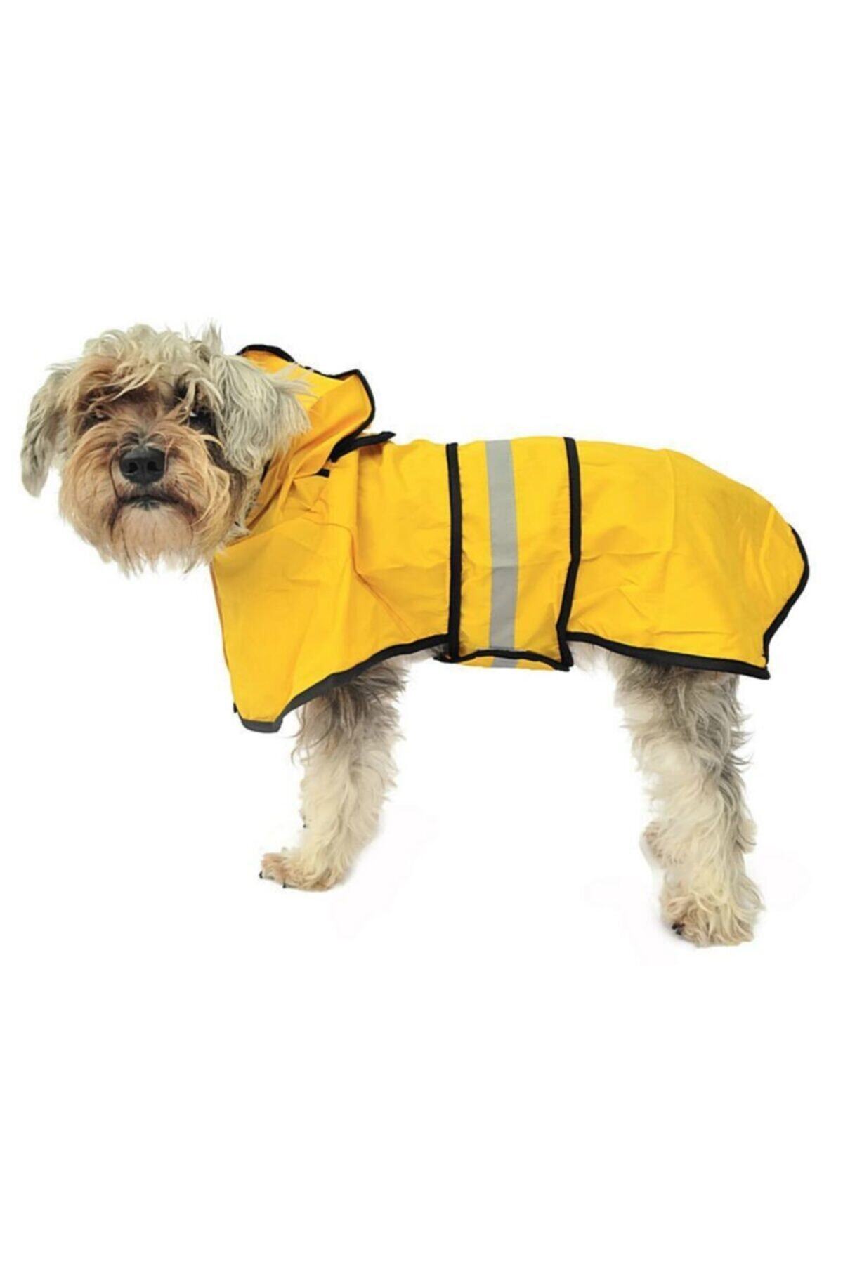 Petza Ekon Sarı Küçük Ve Orta Irk Köpek Yağmurluk