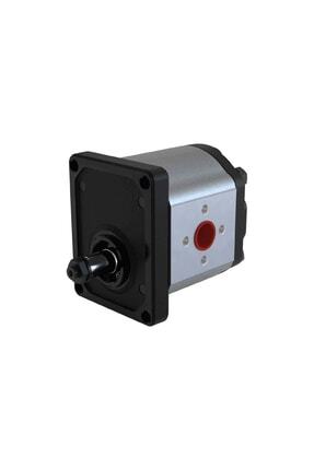 2p1.3180scb7 Sağ Dönüş Konik Milli Hidrolik Pompa Image 0