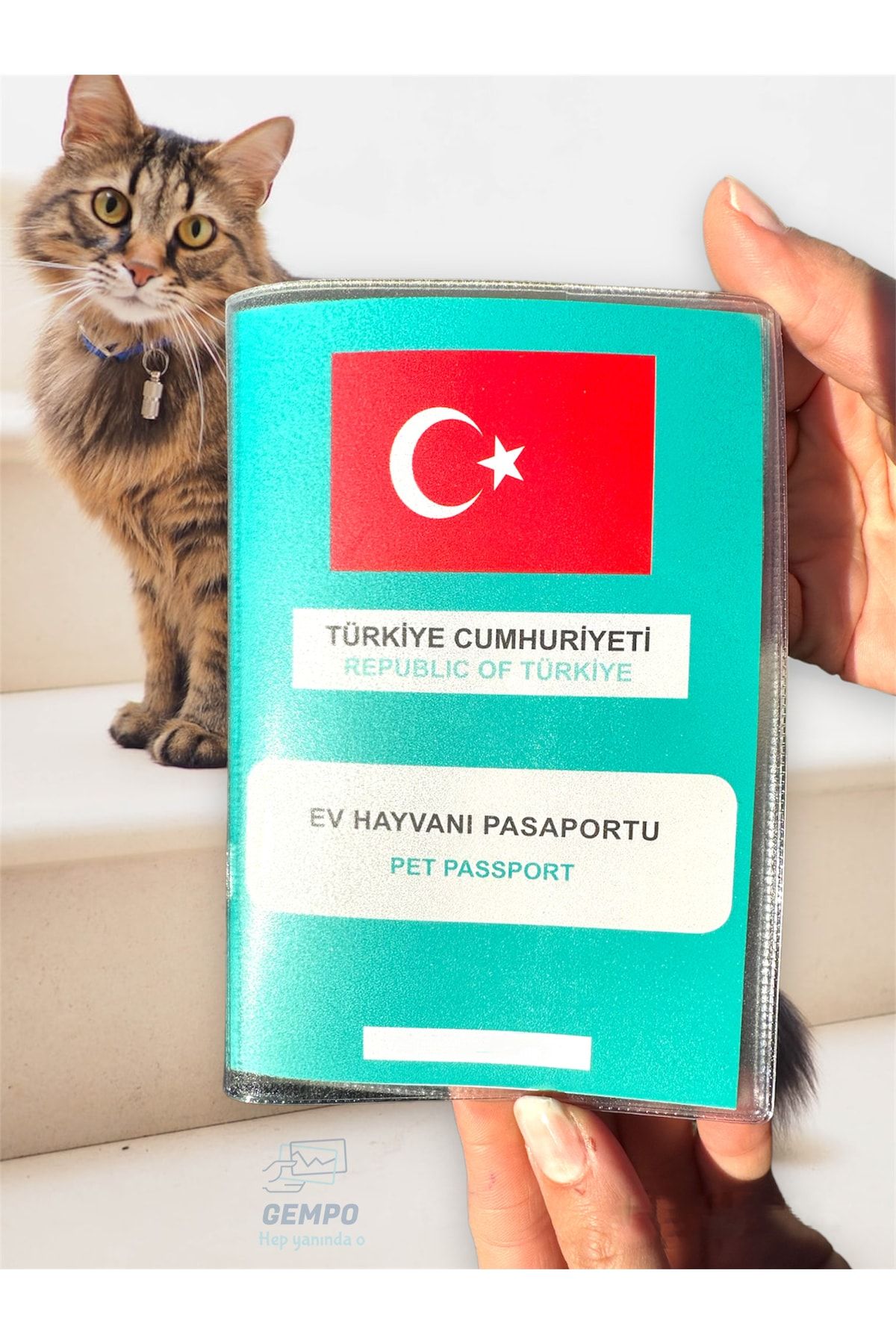 Cat 2025 passport cover
