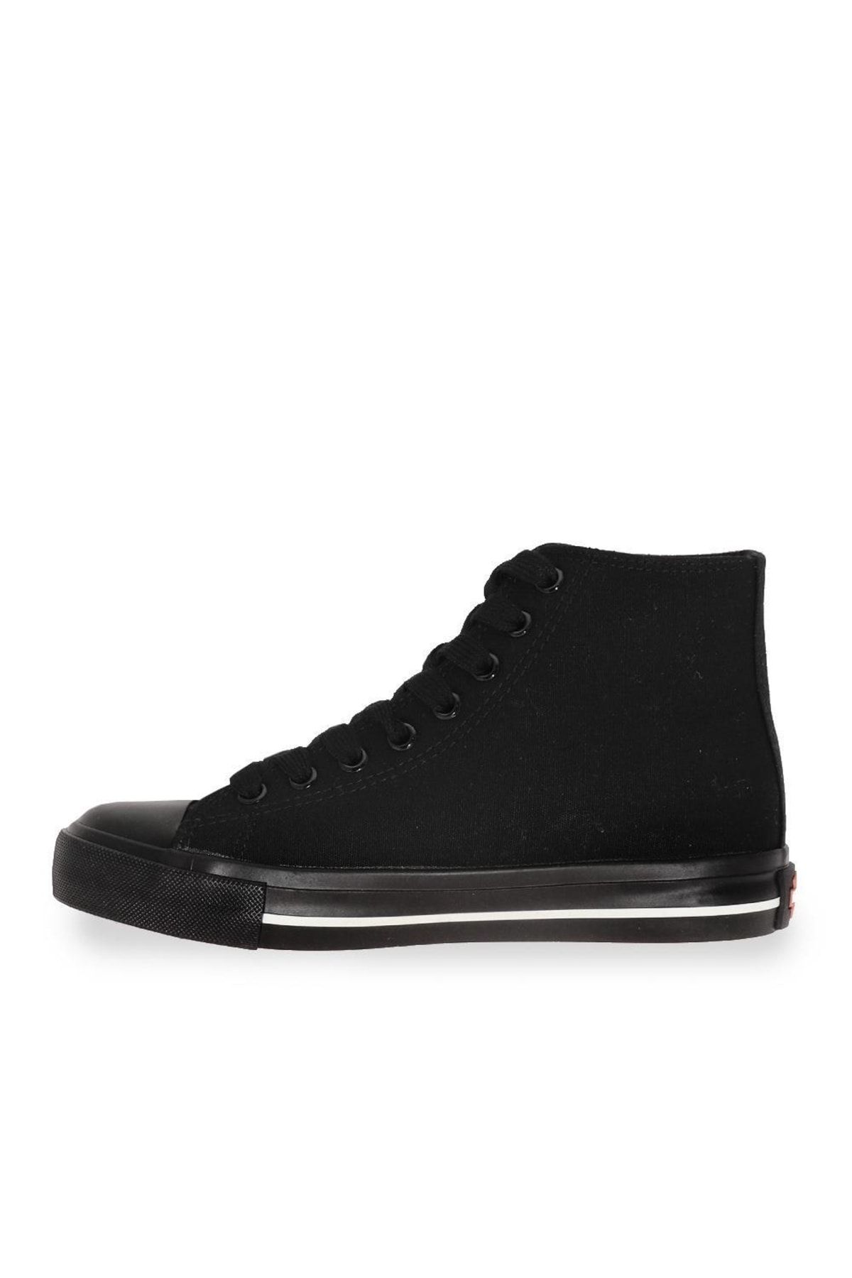 Harley davidson store chuck taylors