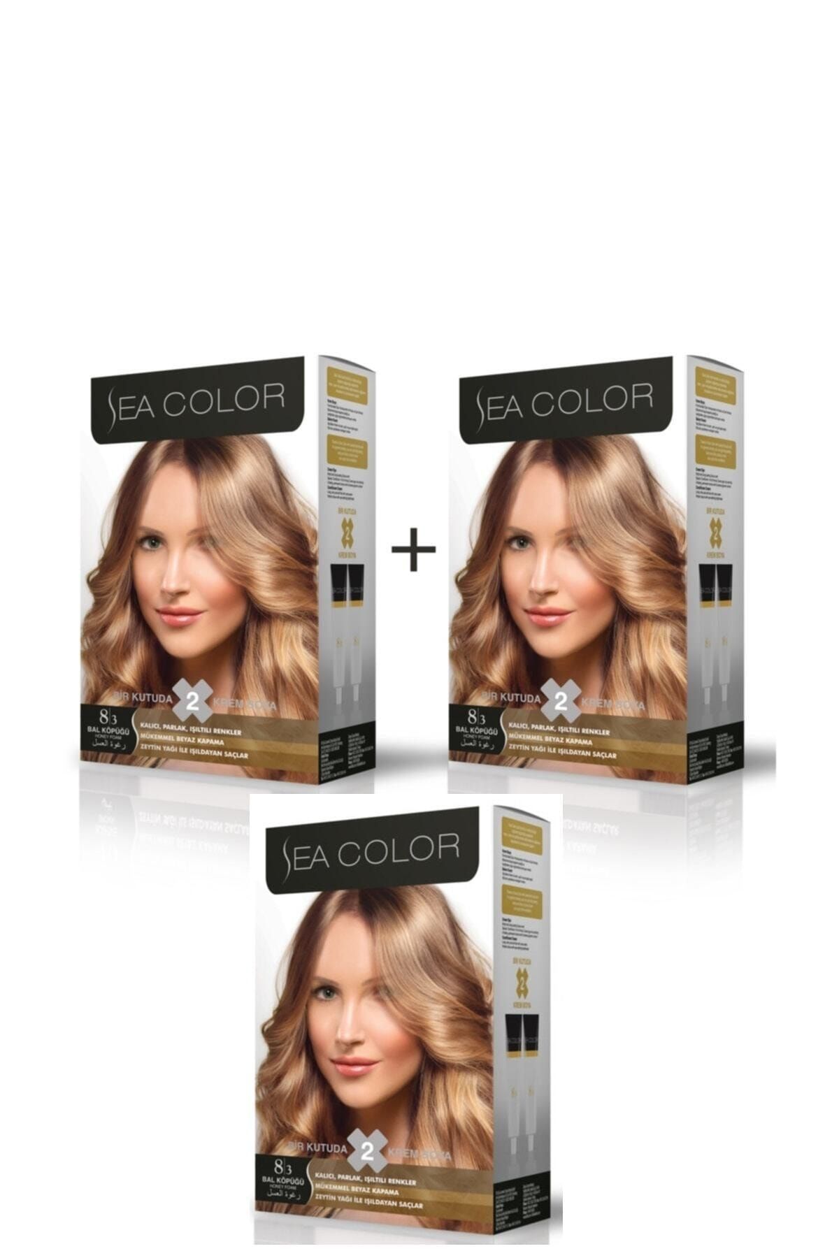 Sea Color 8.3 Bal Köpüğü 2'li Set Boya 3 Adet
