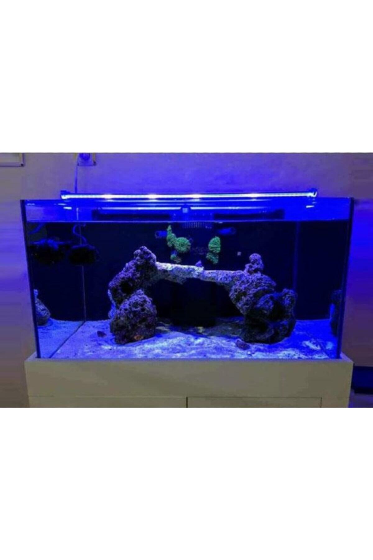 linhart Akvaryum Led Aydınlatma Royal Mavi Renk 70 Cm