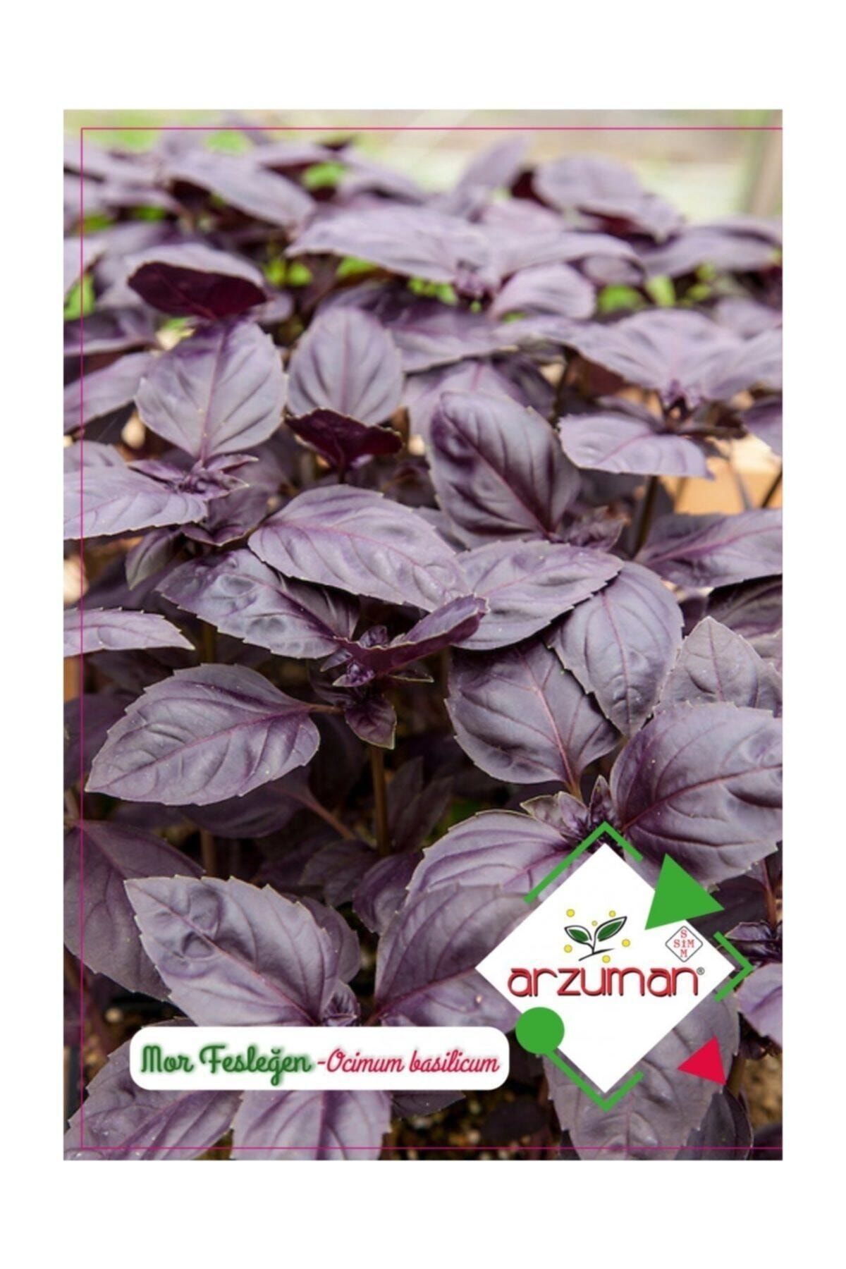 Arzuman Tohum Arzuman Mor Reyhan Tohumu 100 Adet