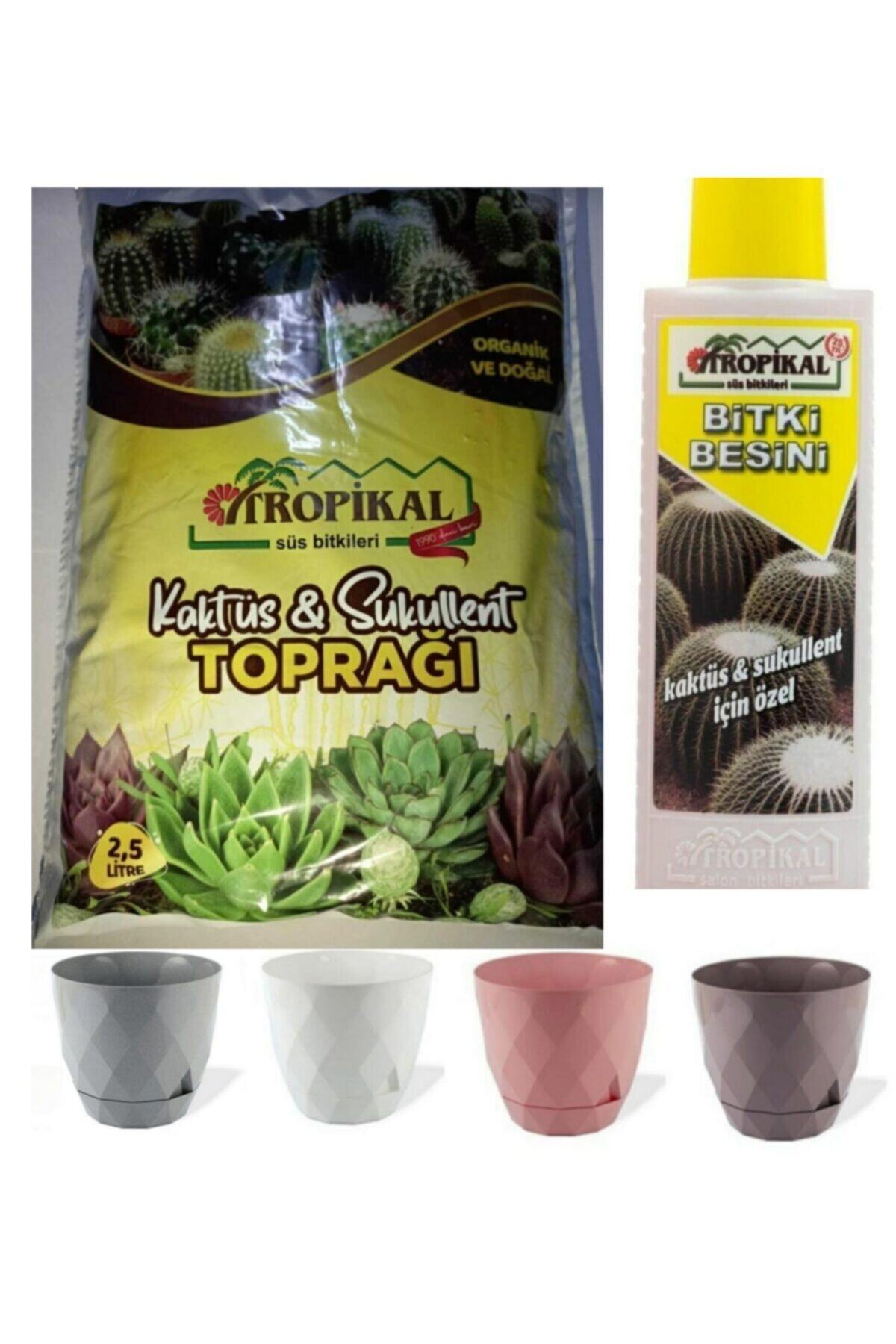 SWORD Tropikal Kaktüs Sukulent Toprağı Ve 225 ml 0,3 lt.