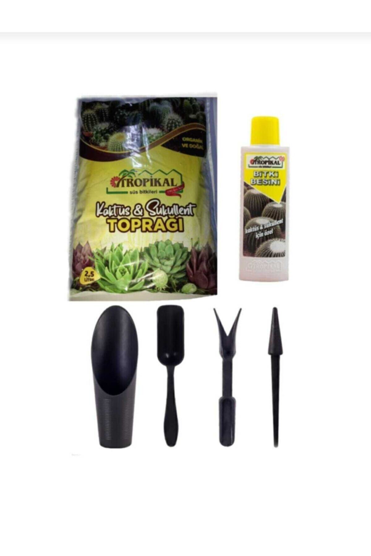 Tropical Sword Tropikal Kaktüs Sukulent Toprağı Ve Bitki Besini 225ml Ve Kaktüs Dikim Seti Bakım Seti 4 Parça