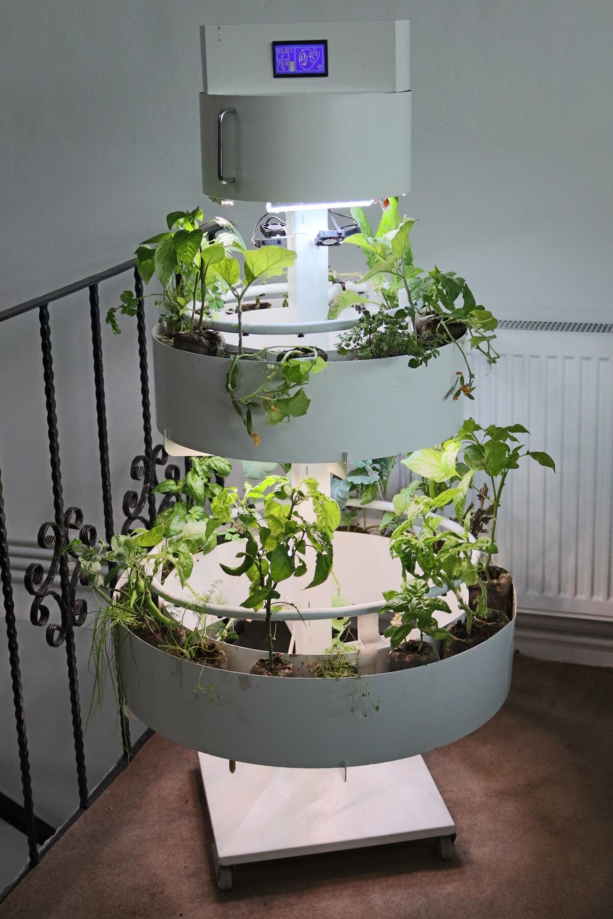 HTG home Garden - Evinizdeki Sebze Bahçesi . Doğal Tarımla Bitki Yetiştiren Dikey Tarım Makinesi