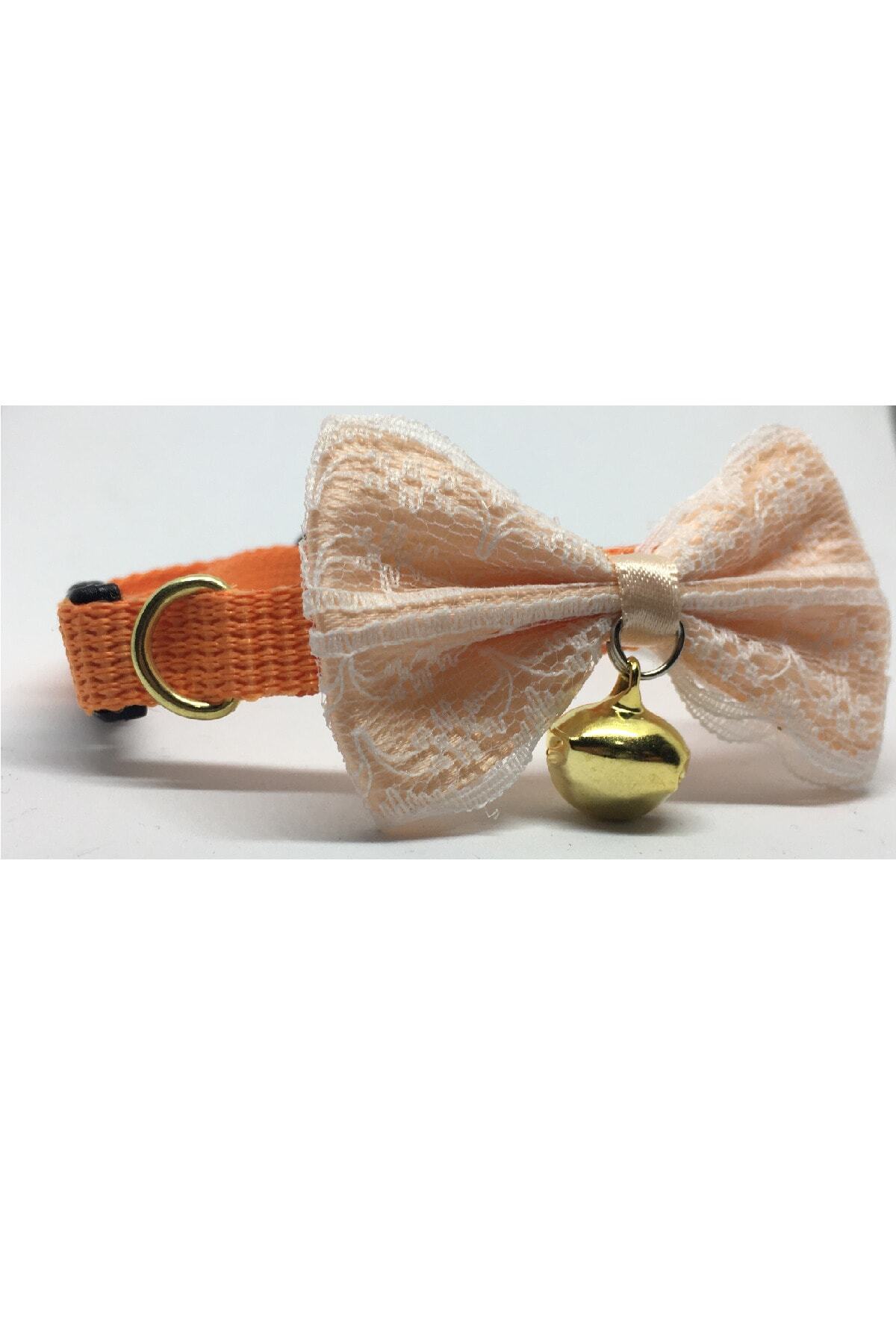 MUCA Kedi Boyun Tasması No:43