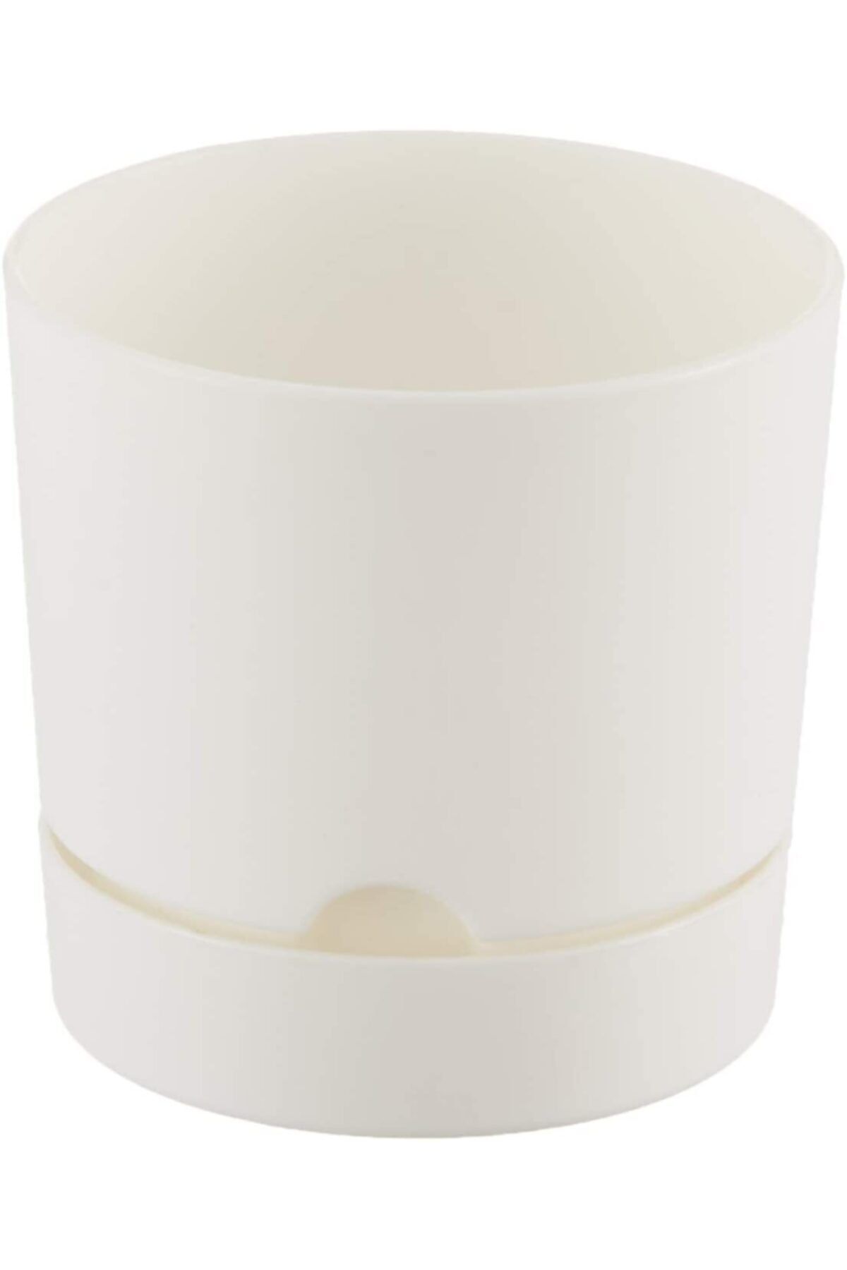 MF Botanik Begonya Pastel Saksı Dekoratif Tabaklı Kaktüs Çiçek Saksı 15 Cm 1.8 Litre Beyaz Renk