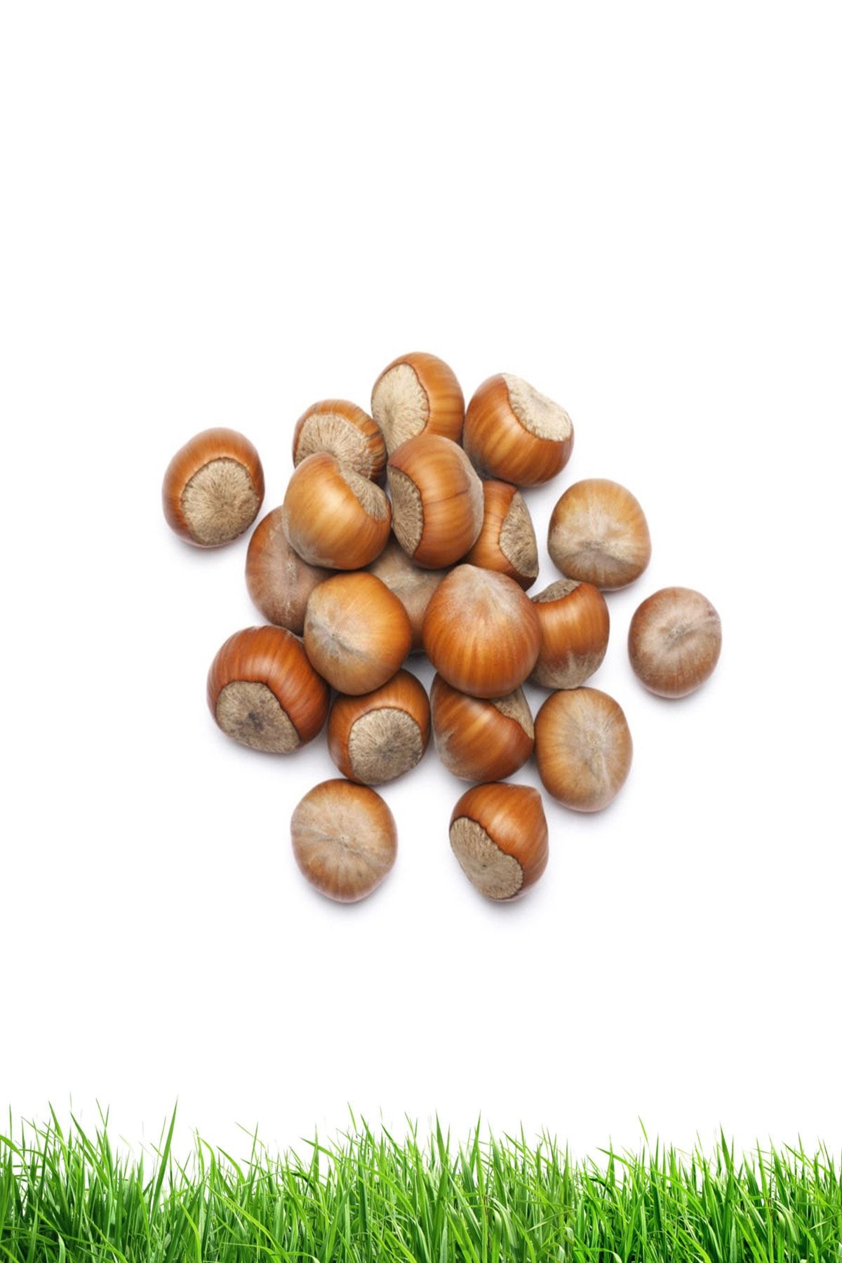 Özof Yöresel Ürünler Doğal Kabuklu Fındık - 1 Kg