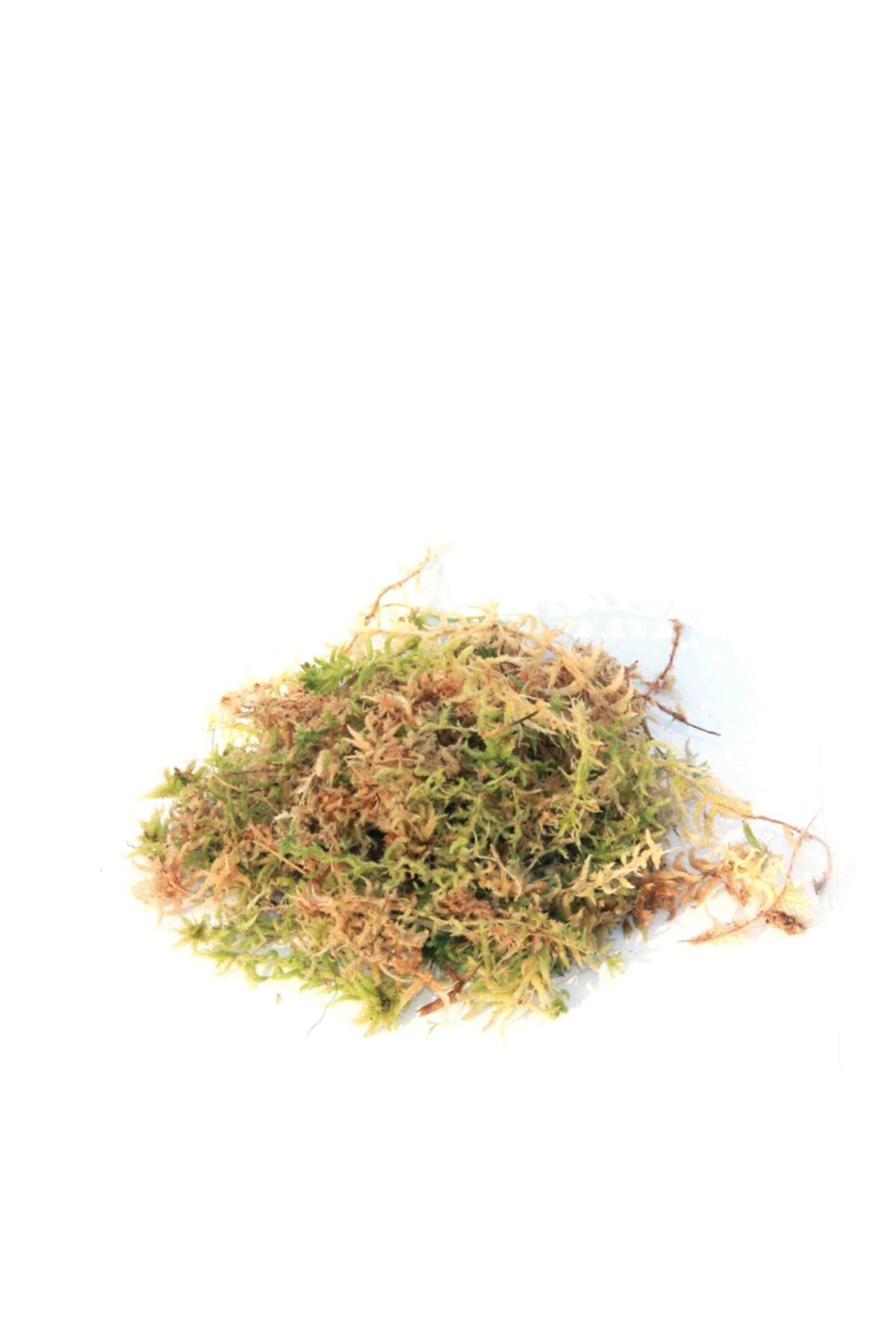 SEIKA Turba - Sphagnum Yosunu (2 LİTRE)