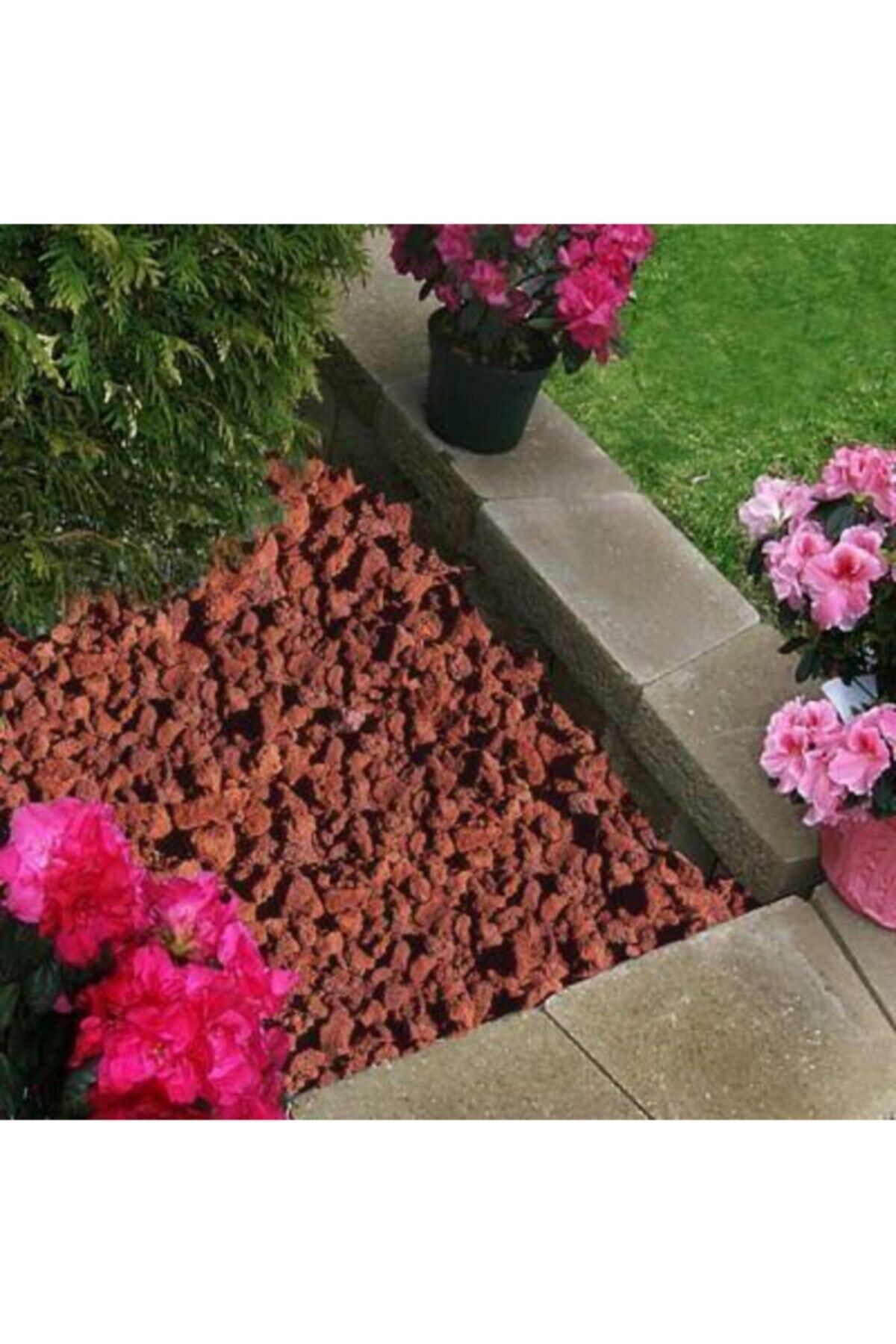 Elysian Pomza Taşı Iri Kırmızı Pomza 6kg Teraryum Akvaryum Lav Taşı Kaktüs Sukulent Pomzası Tarım Ponza