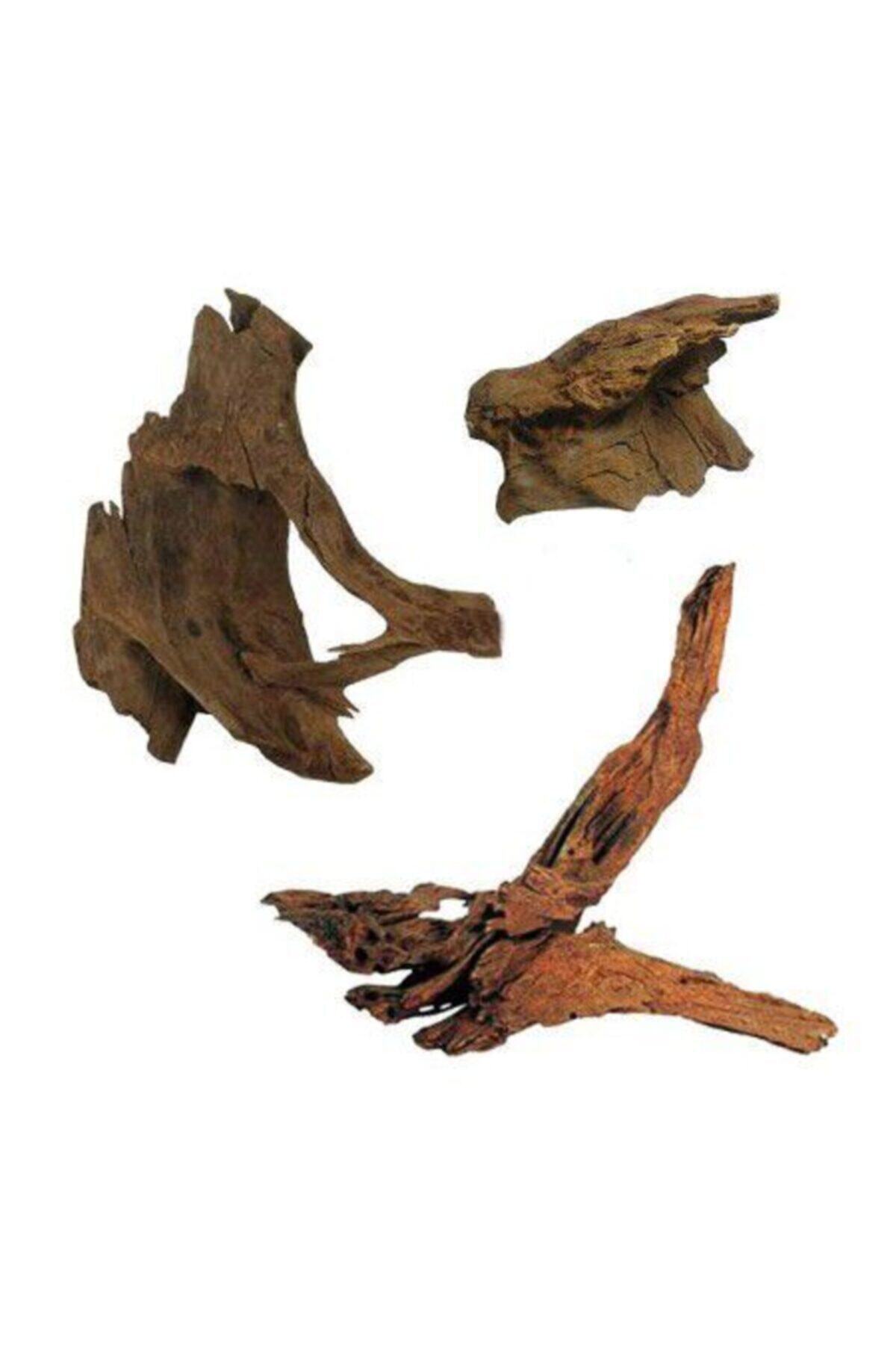 Oceanmax Drift Wood Mango Kütüğü 15-20cm Small