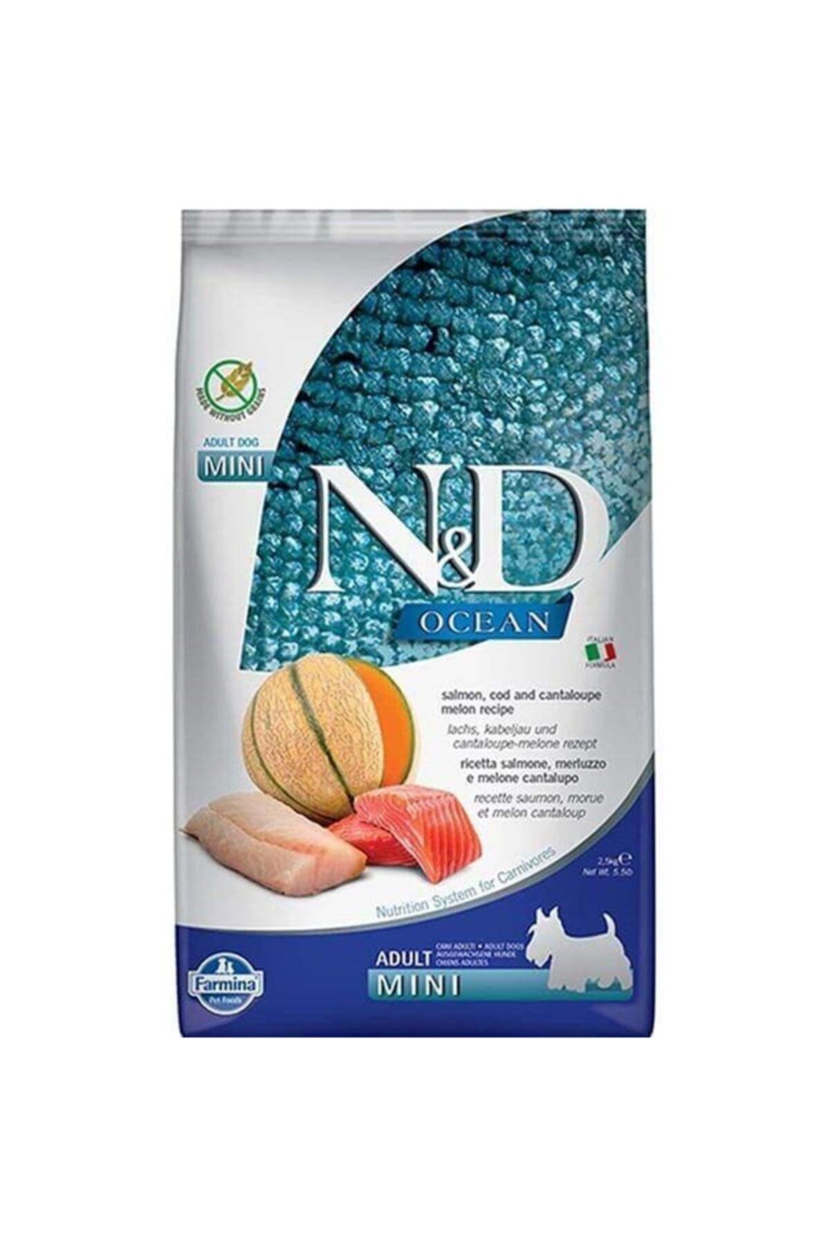 N&D Ocean Somon Ve Morina Balıklı Kavunlu Mini Yetişkin Köpek Maması 2,5 kg