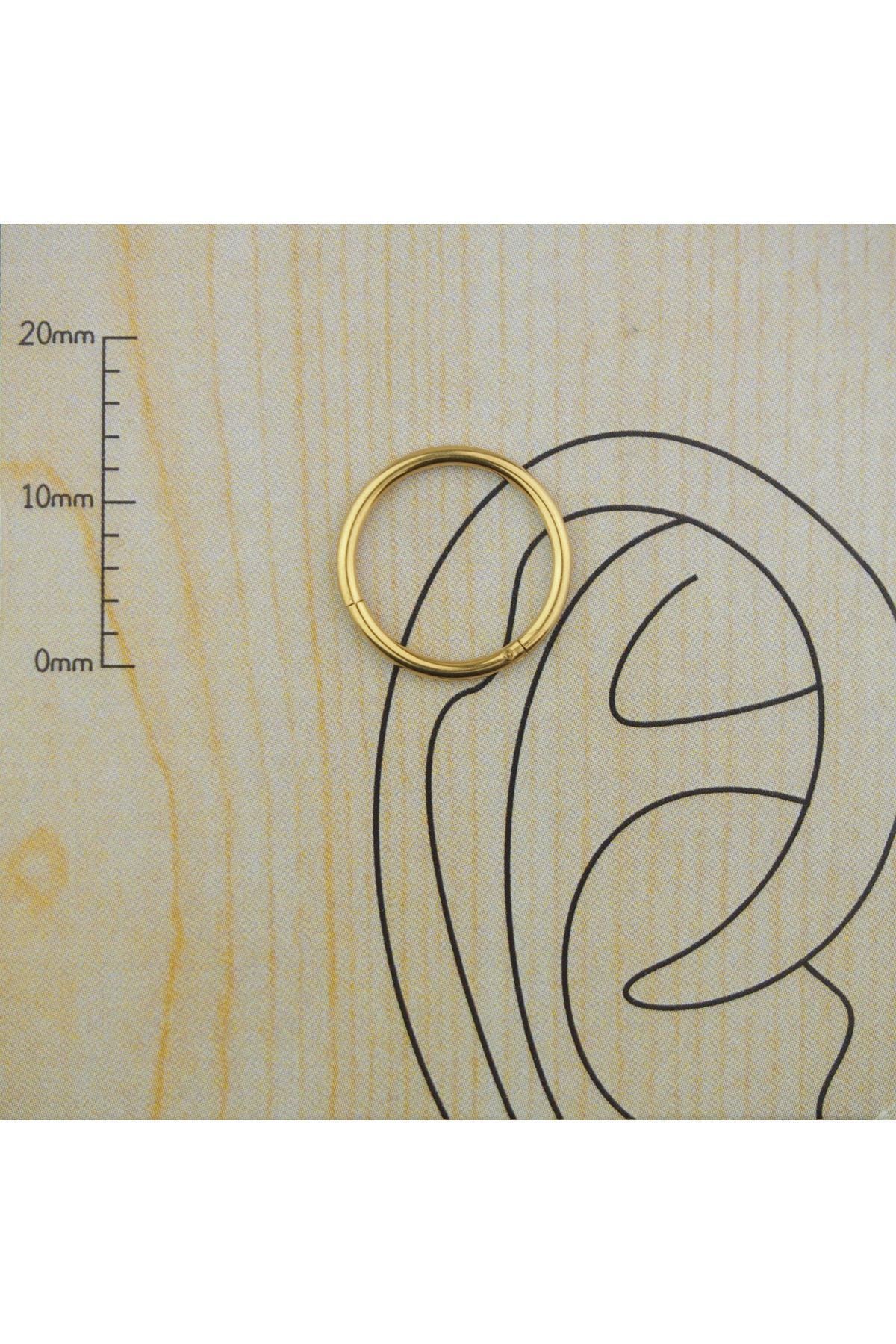 Abuksubukşeyler Cerrahi Çelik Kilitli Halka Piercing 12 Mm Rose