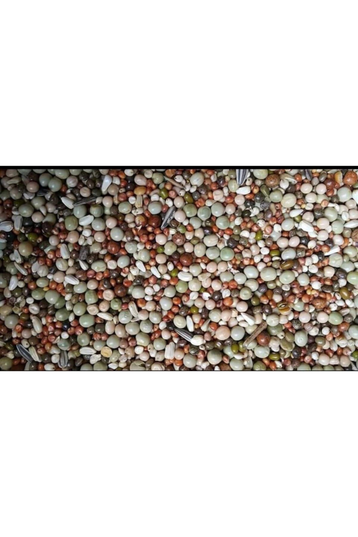 Görkem Güvercin Yemi Karışık Inci 20 Kg