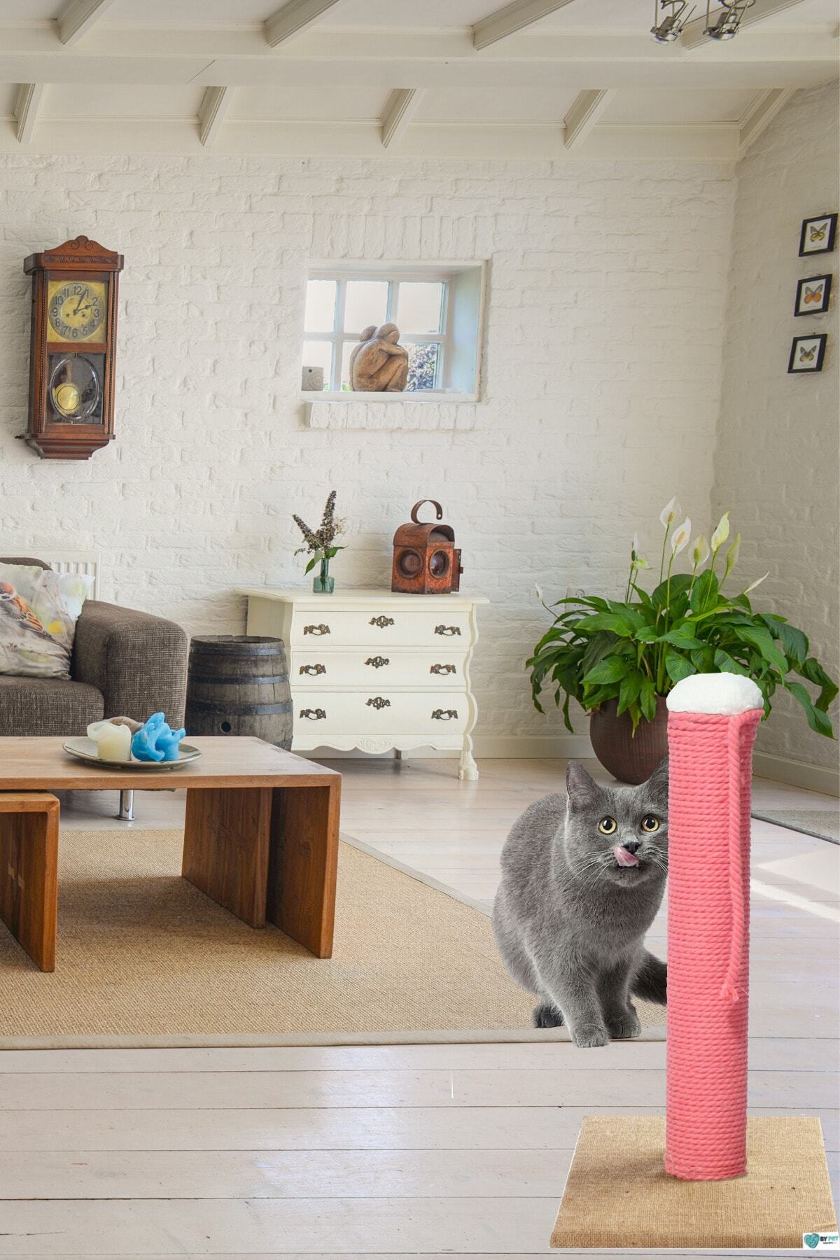 BYPET Yeni Nesil Estetik Kedi Tırmalama Tahtası 45 Cm Özel Dokuma Pembe Renk