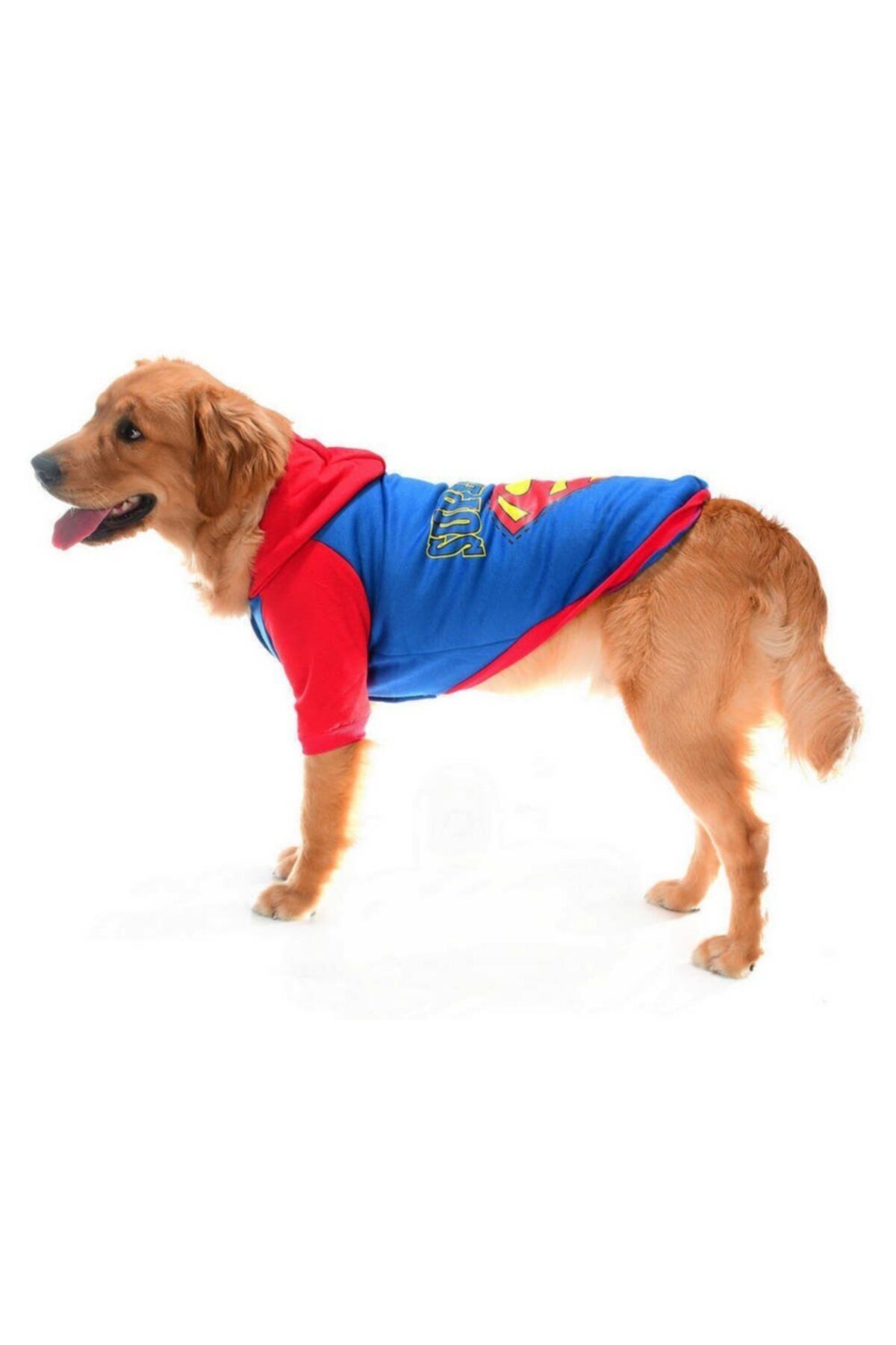 Petza Joak Orta Ve Büyük Irk Sweatshirt