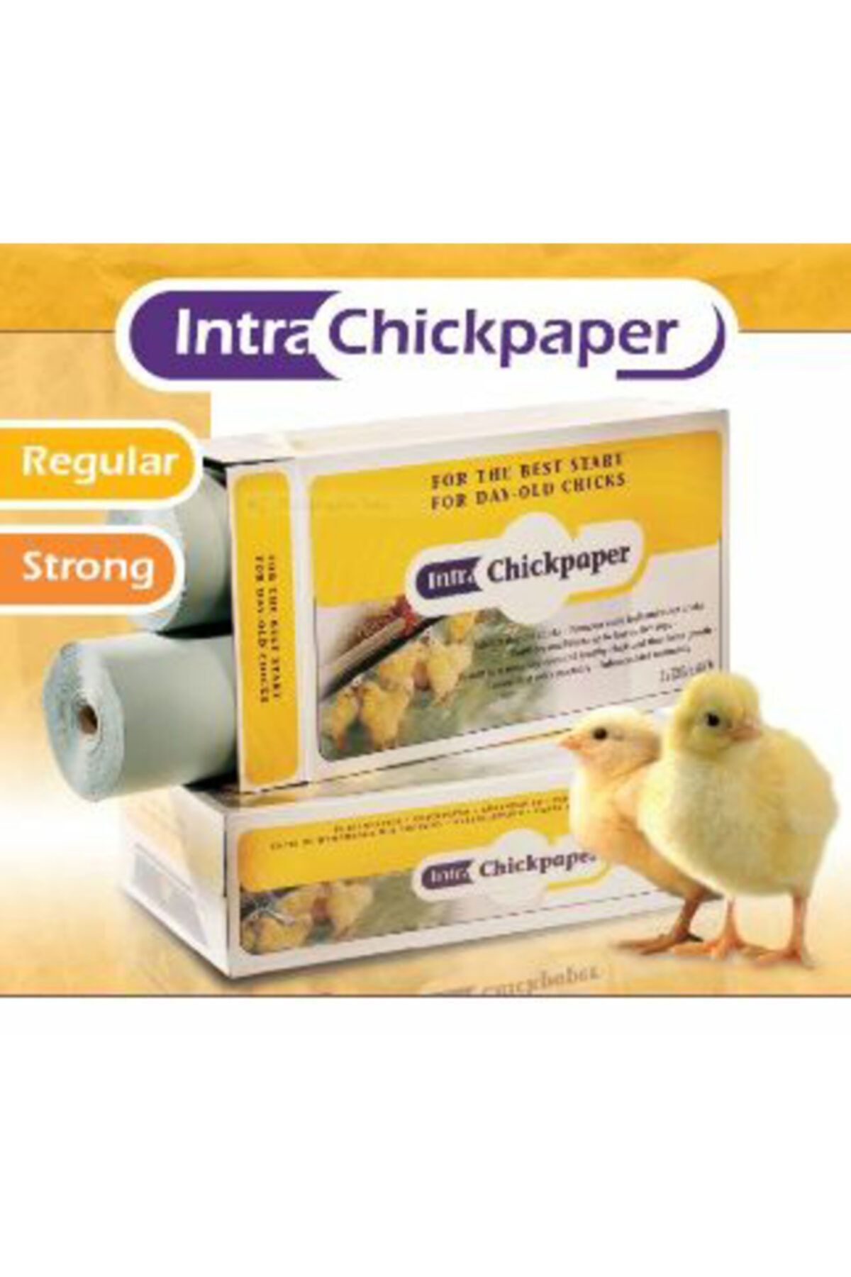 IntraChickpaper Civciv Kağıdı - 1 Top - 250 mt