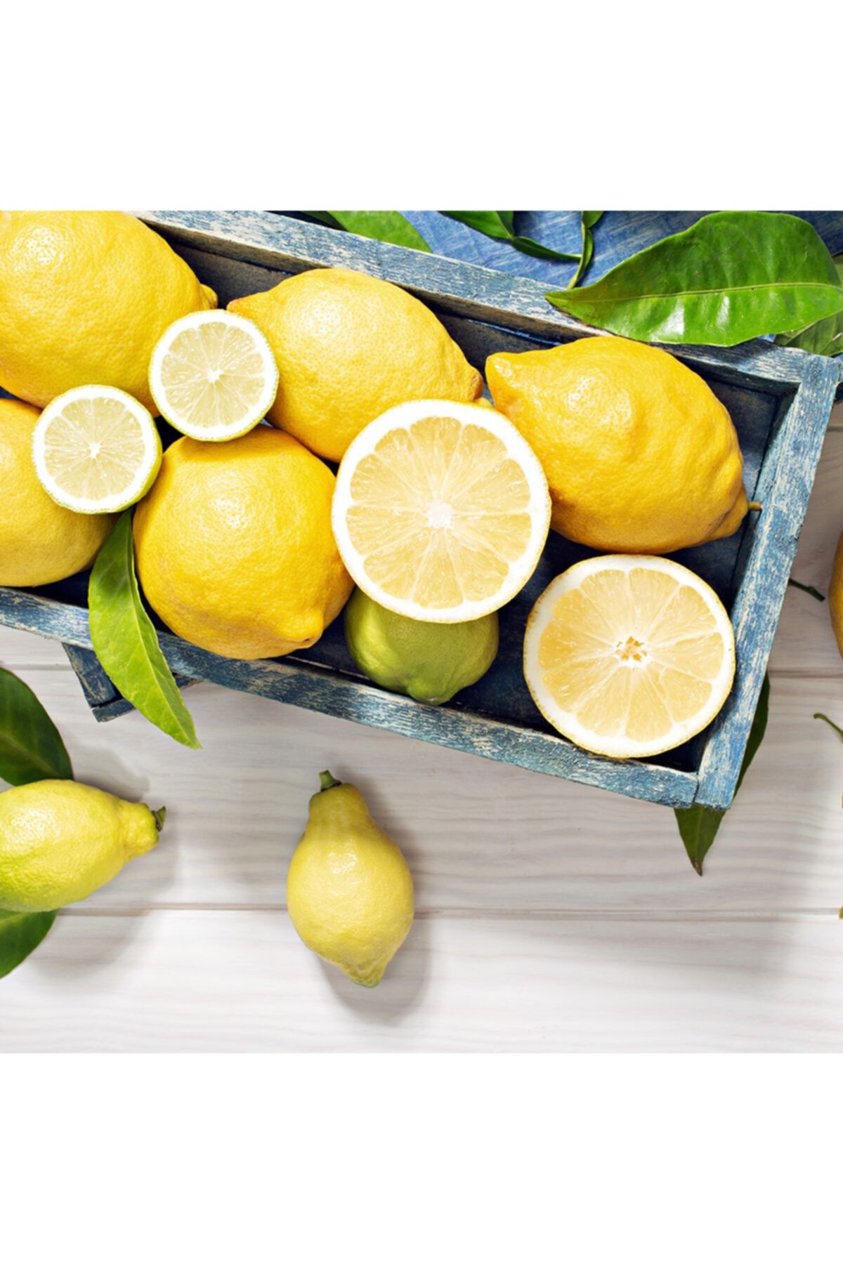 Hepsibahçemden Dalından Limon Doğal Kütdiken 5 kg