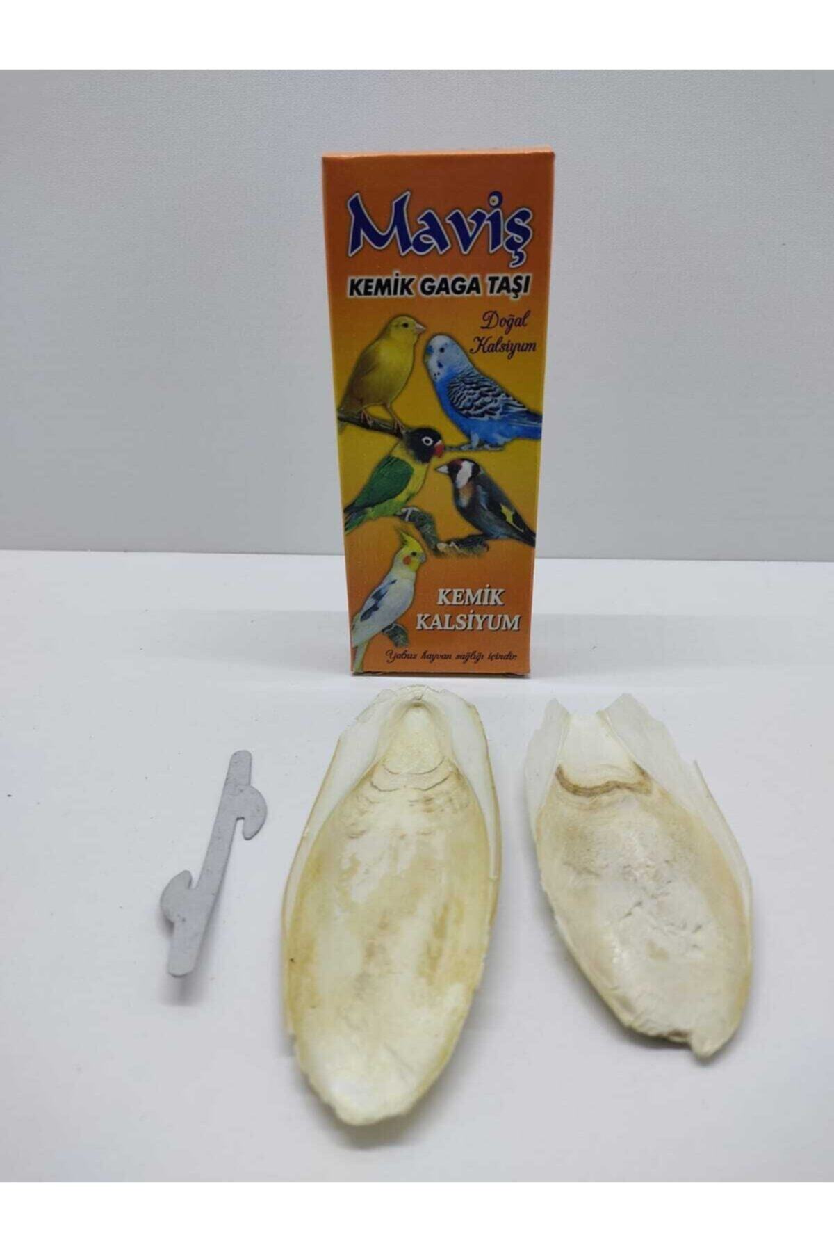 Mavis Kalamar Kemiği Gaga Taşı