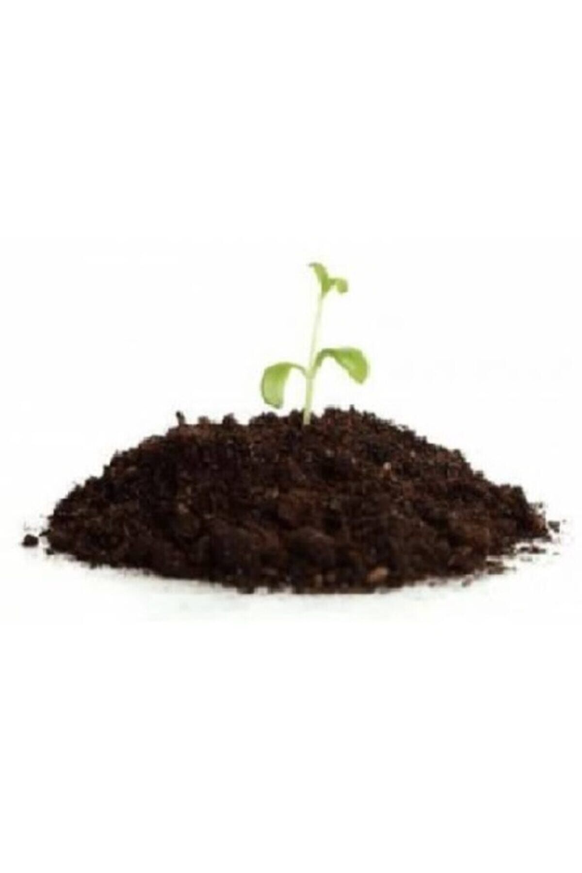agrobit cat Esse 5 Lt Bonsai Toprağı 3 Lü Karışım