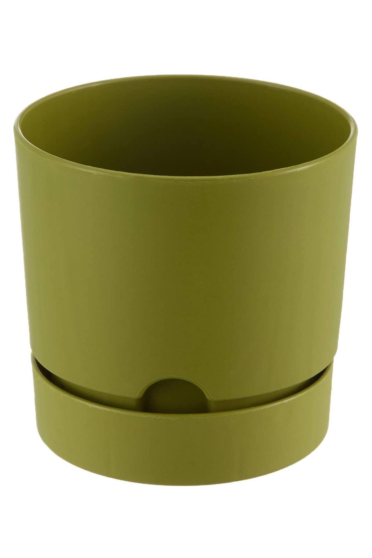 MF Botanik Begonya Pastel Saksı Dekoratif Tabaklı Çiçek Saksı 15 Cm 1.8 Litre Yeşil Renk