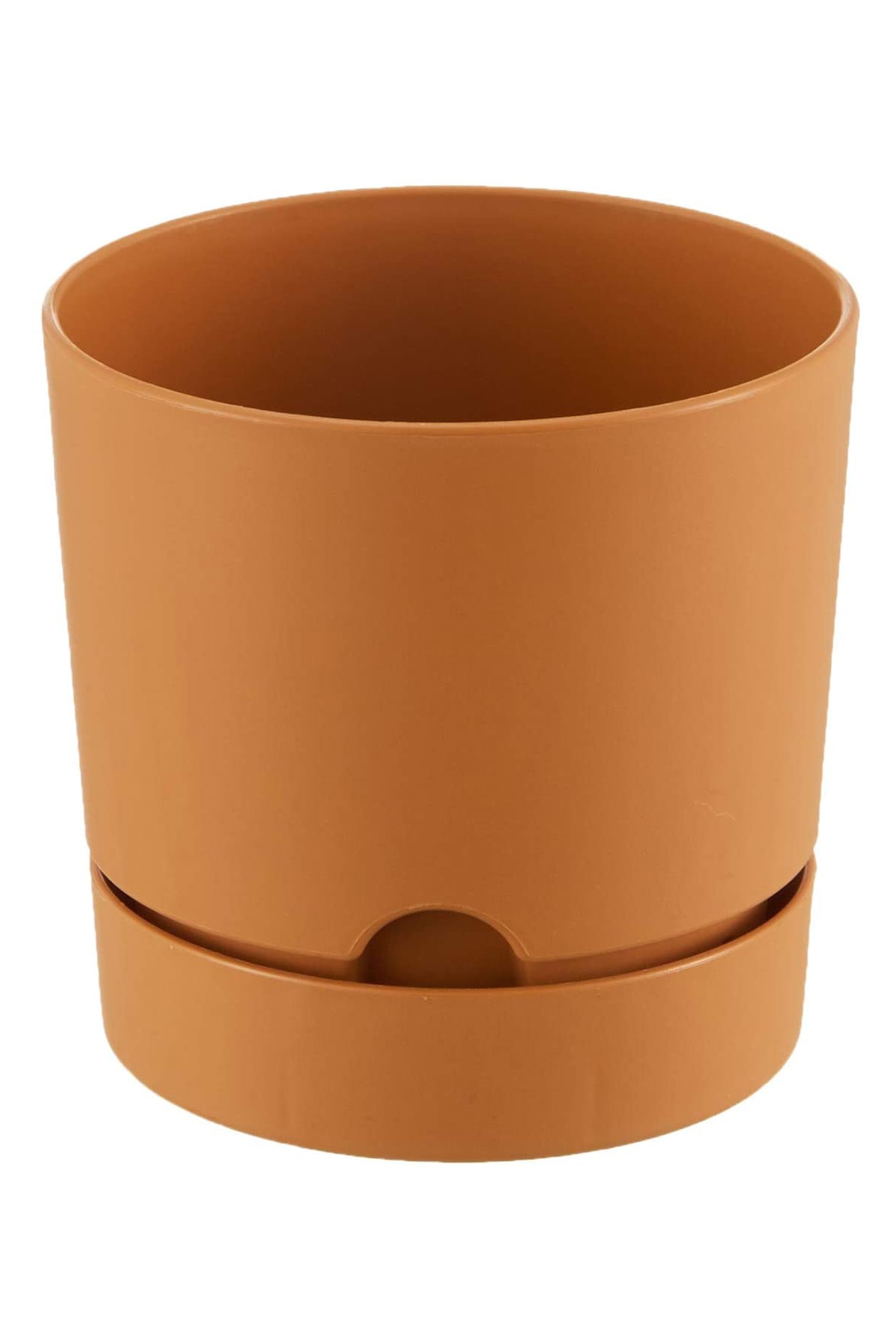 MF Botanik Begonya Pastel Saksı Dekoratif Tabaklı Çiçek Saksı 15 Cm 1.8 Litre Hardal Renk