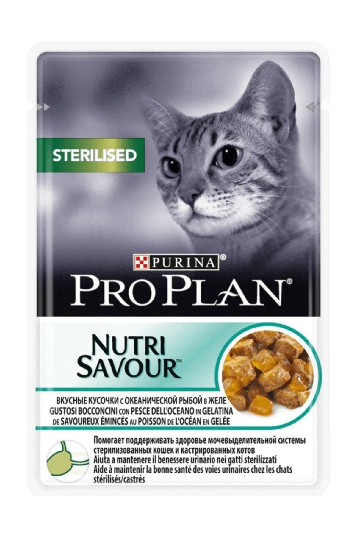 purina pro plan pouch kisir balikli yas kedi mamasi 85 gr x 6 adet fiyati yorumlari trendyol