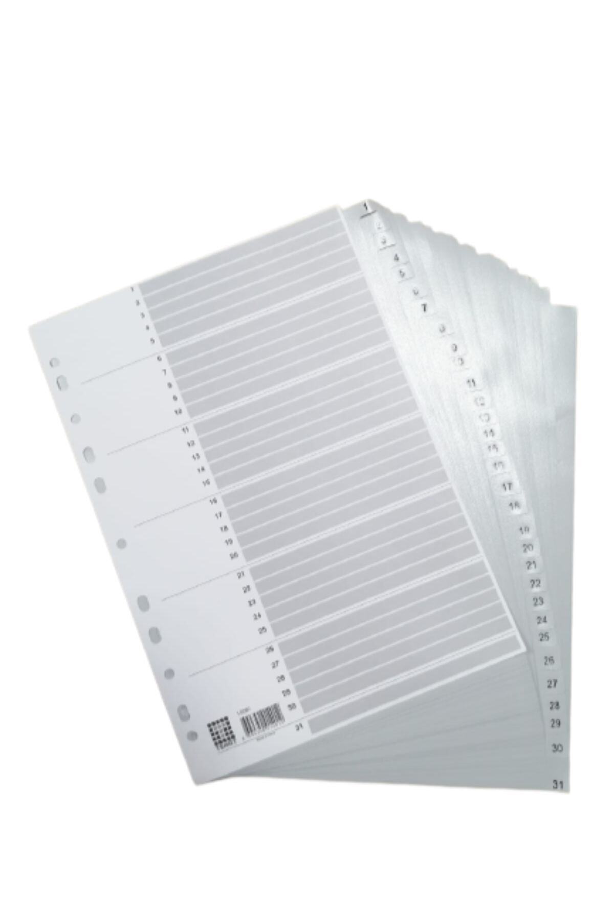 Temat Plastik Seperatör 31 Rakam Ayraç A4 1 Adet