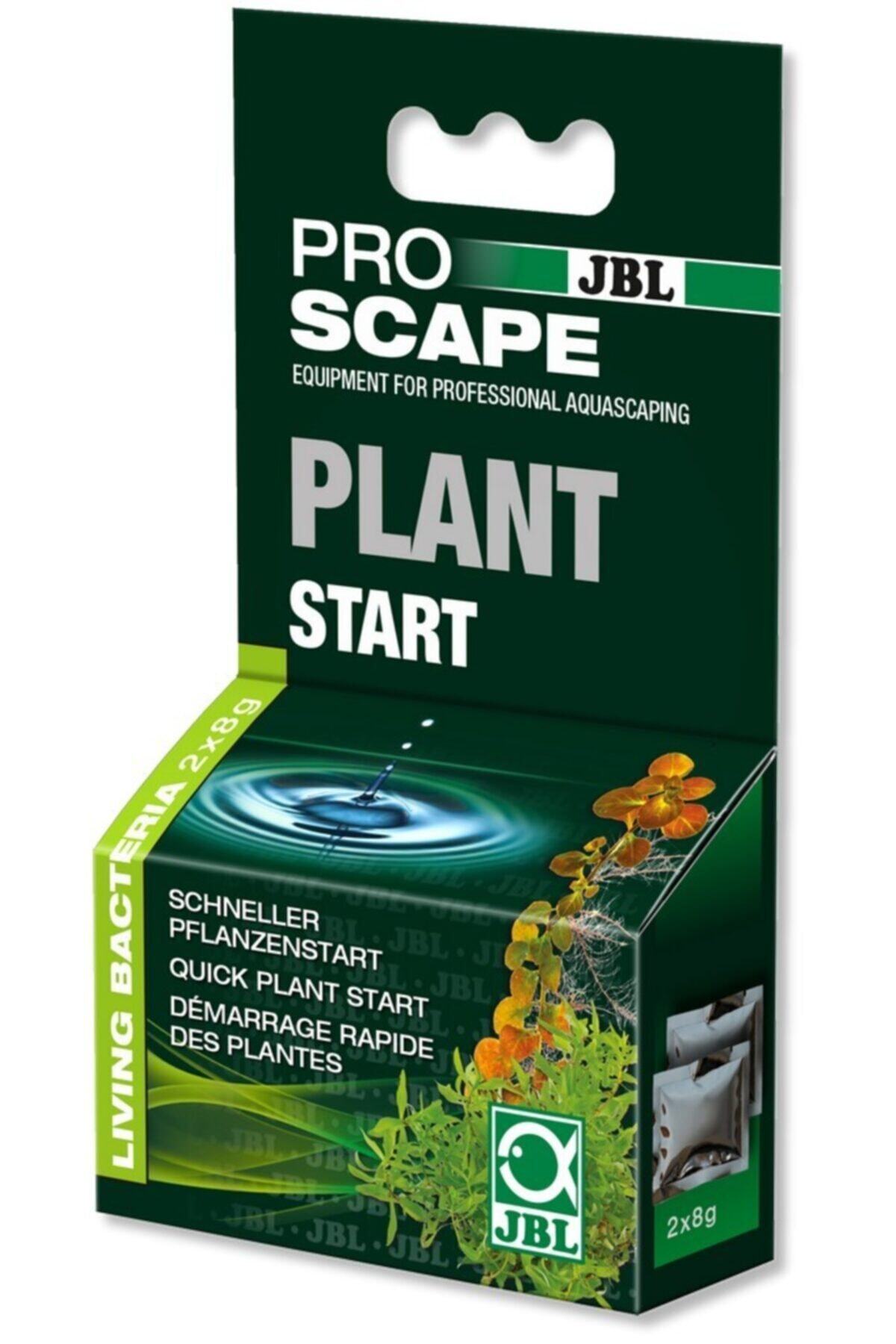 See Me Jbl Proscape Plantstart