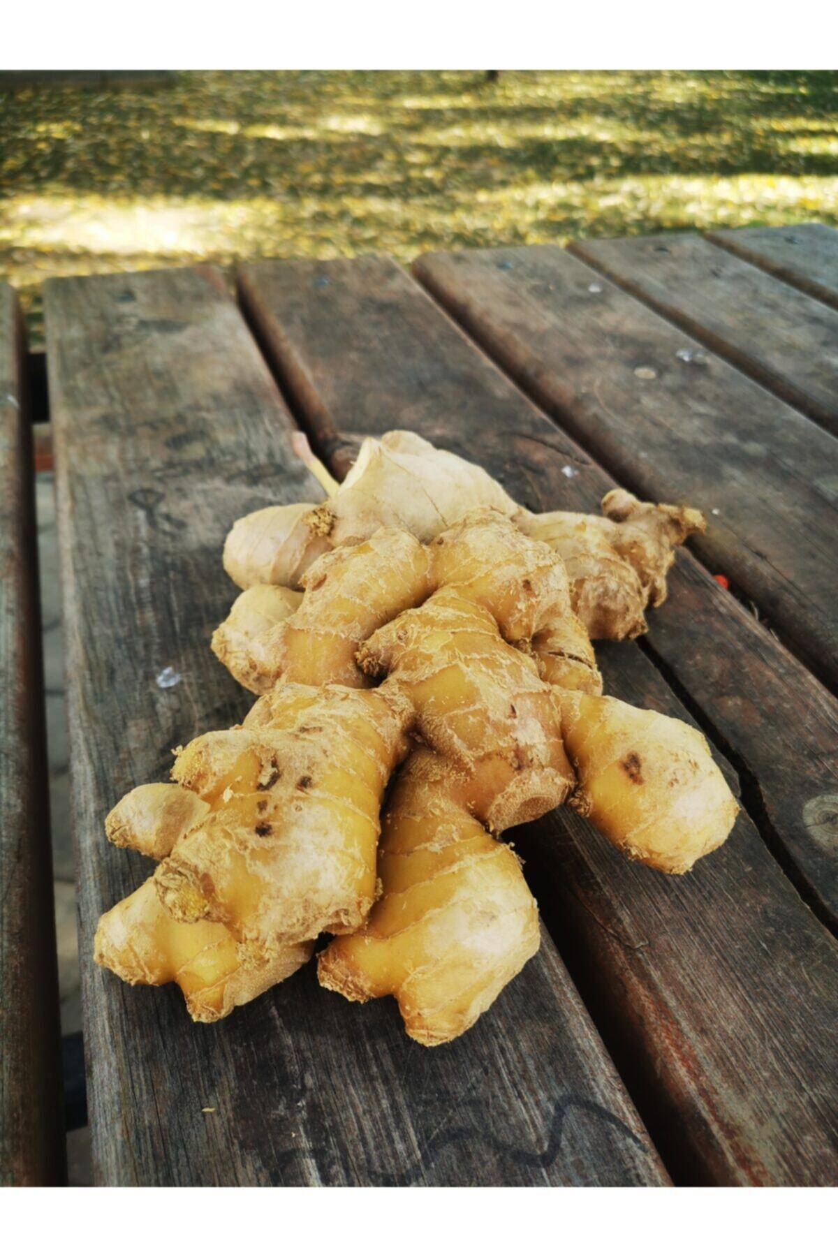 bibakmışsınkapında Taze Zencefil 500 gr