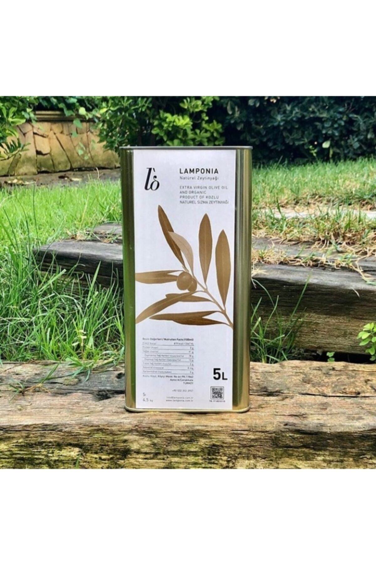 Lamponia 5 Lt. Erken Hasat Soğuk Sıkım Sızma Naturel Zeytinyağı