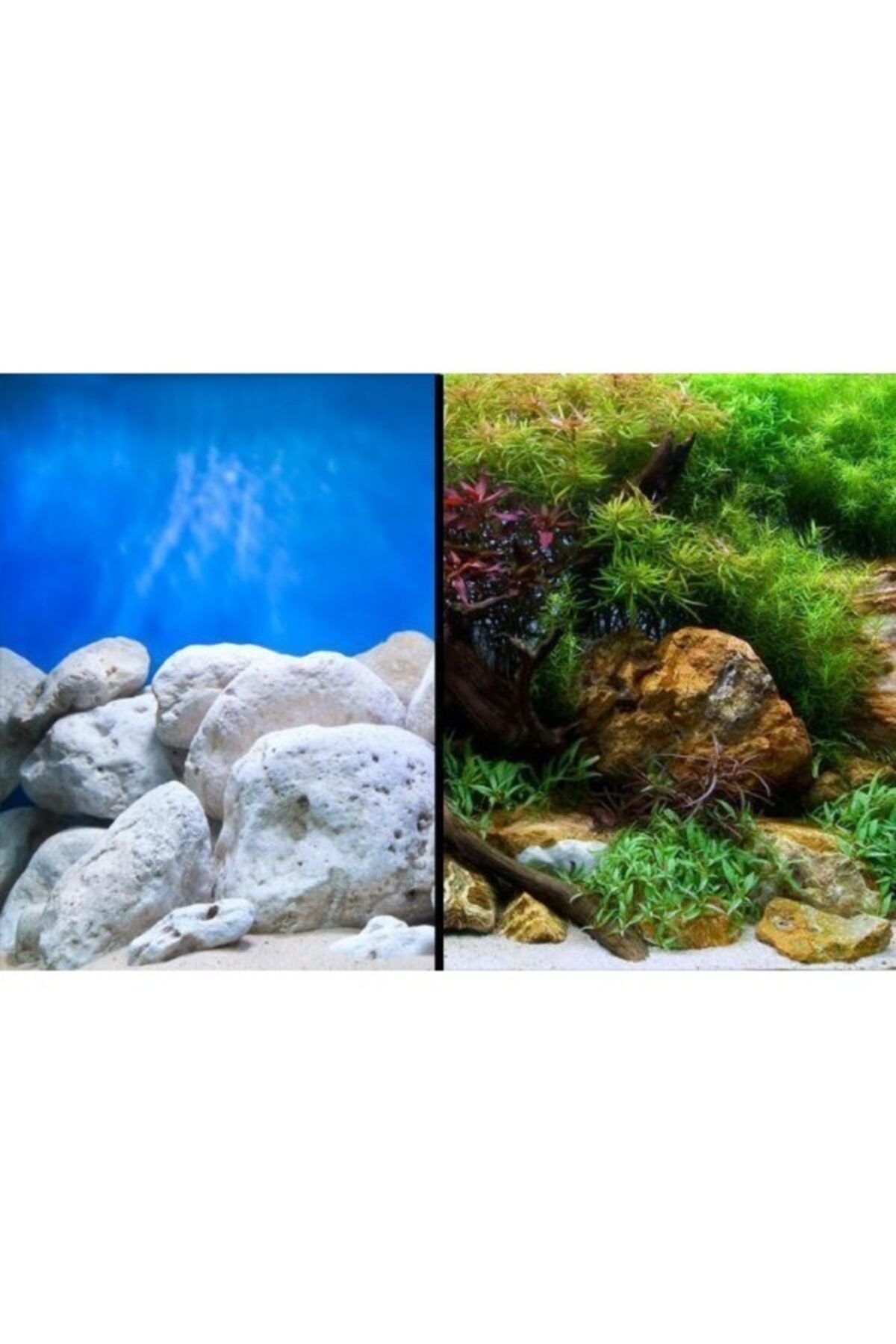 Natural Color Çift Taraflı Akvaryum Plastik Posteri Bitki Kaya-deniz